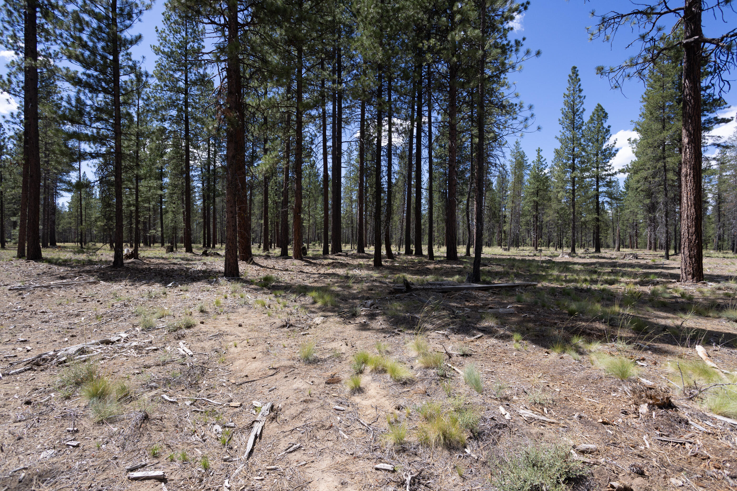 56252 Rockcress Lane
