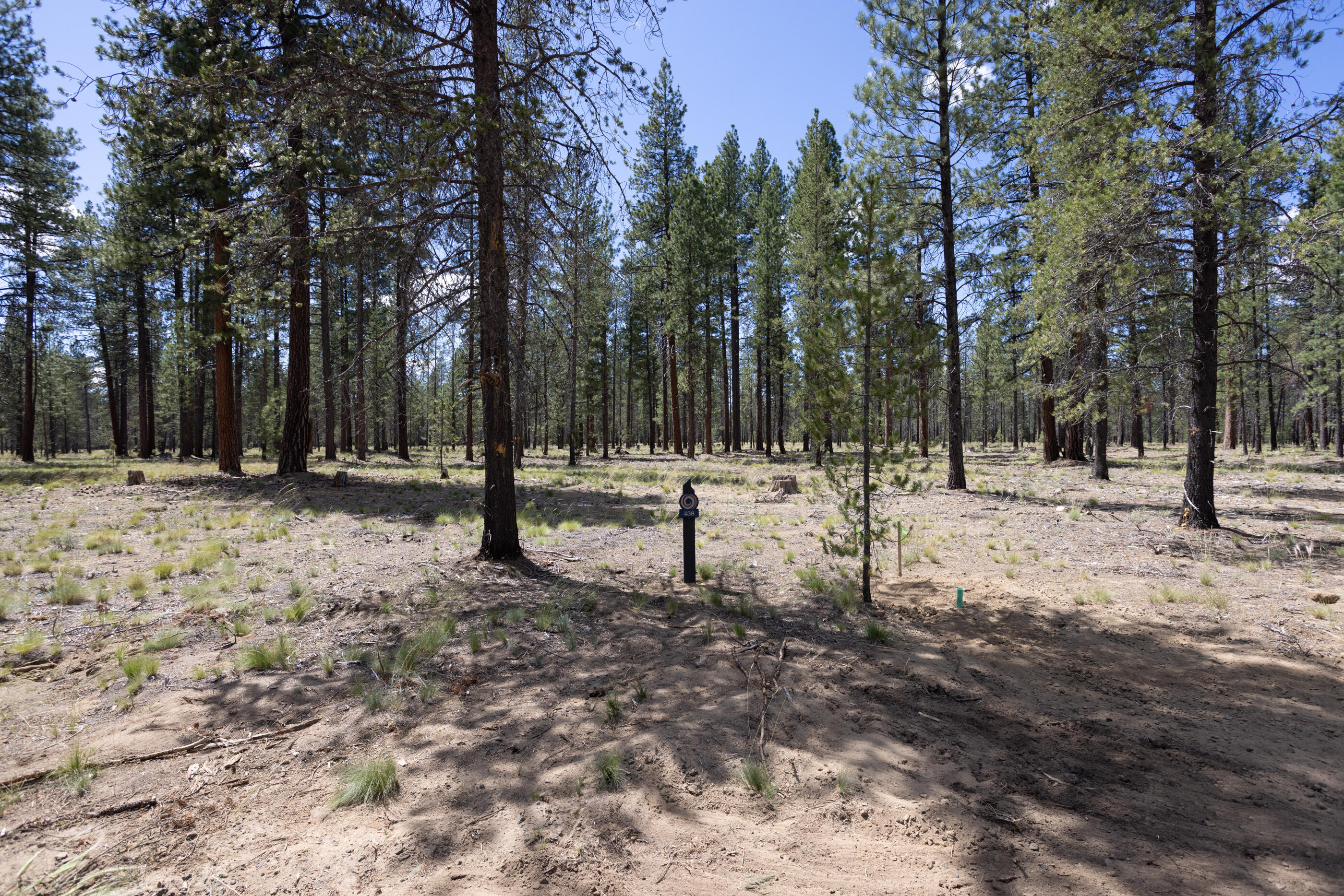 56252 Rockcress Lane