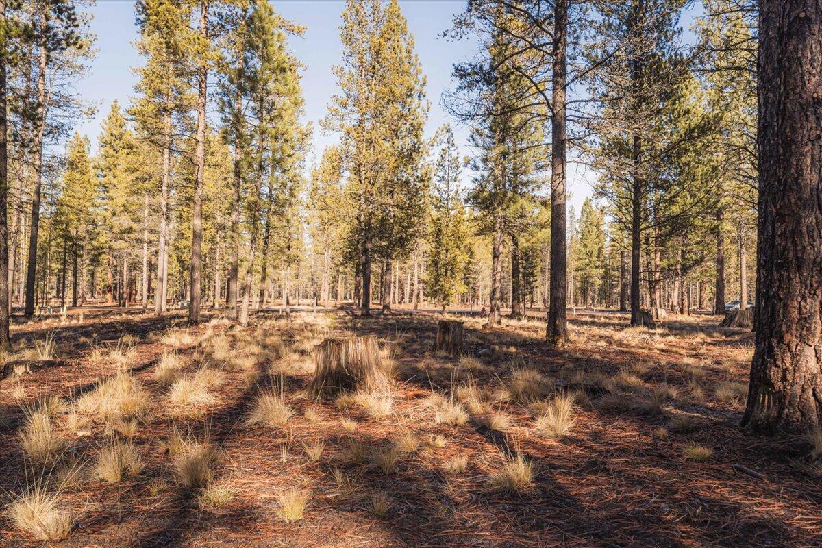 17851 Preservation Loop