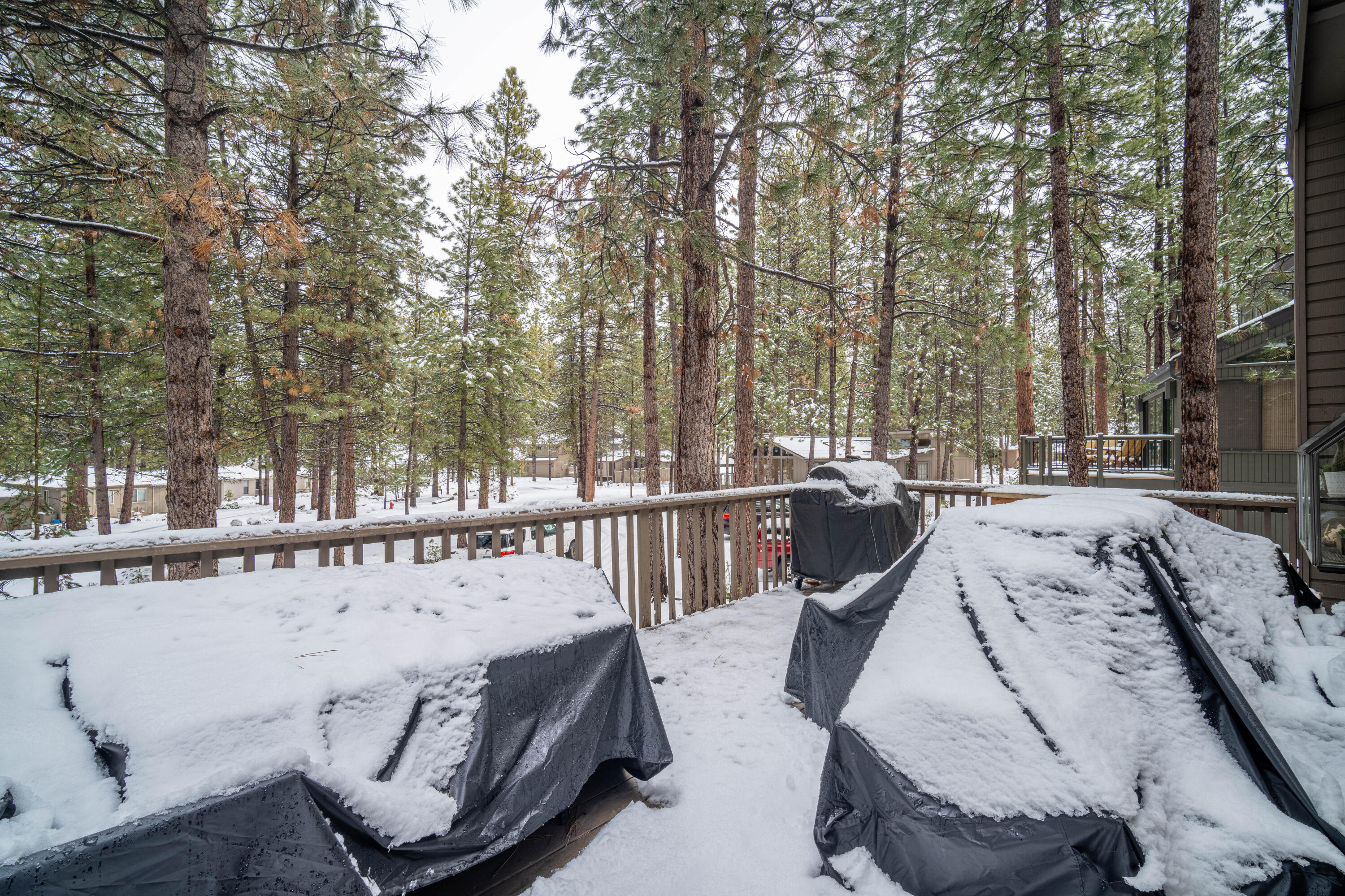 57244 Raccoon Lane Unit: 3