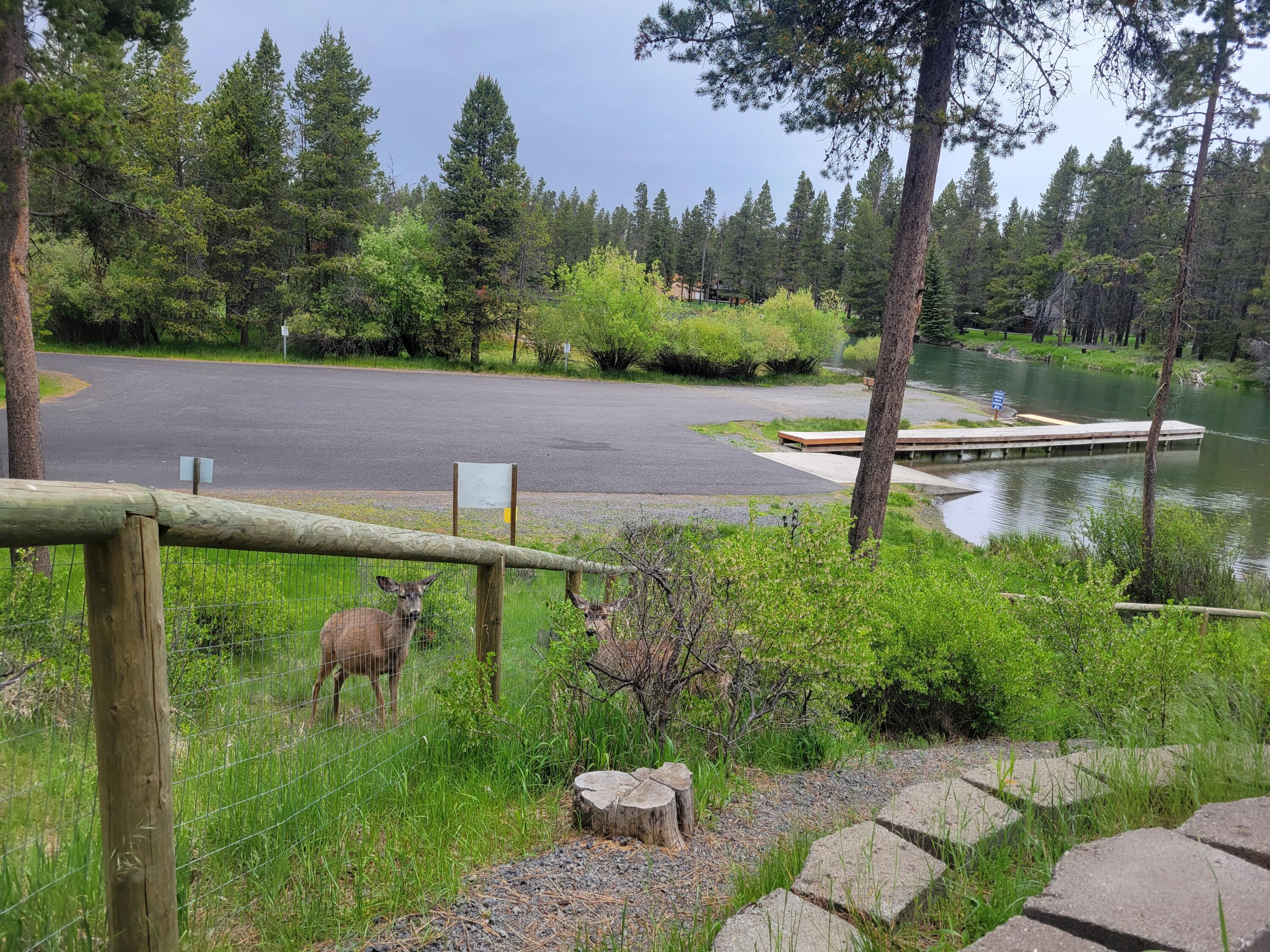 56065 Snow Goose Road