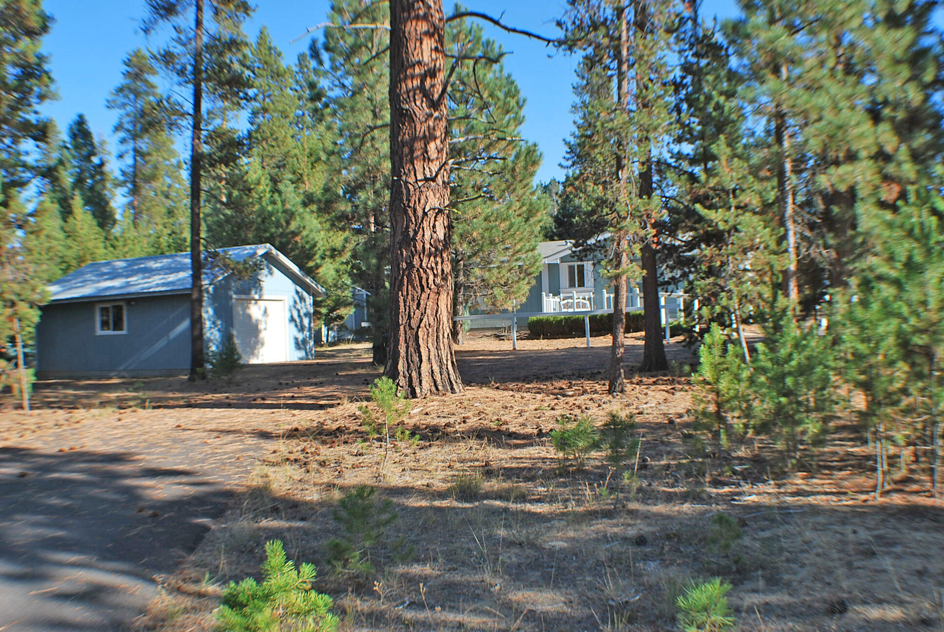 52744 Golden Astor Road