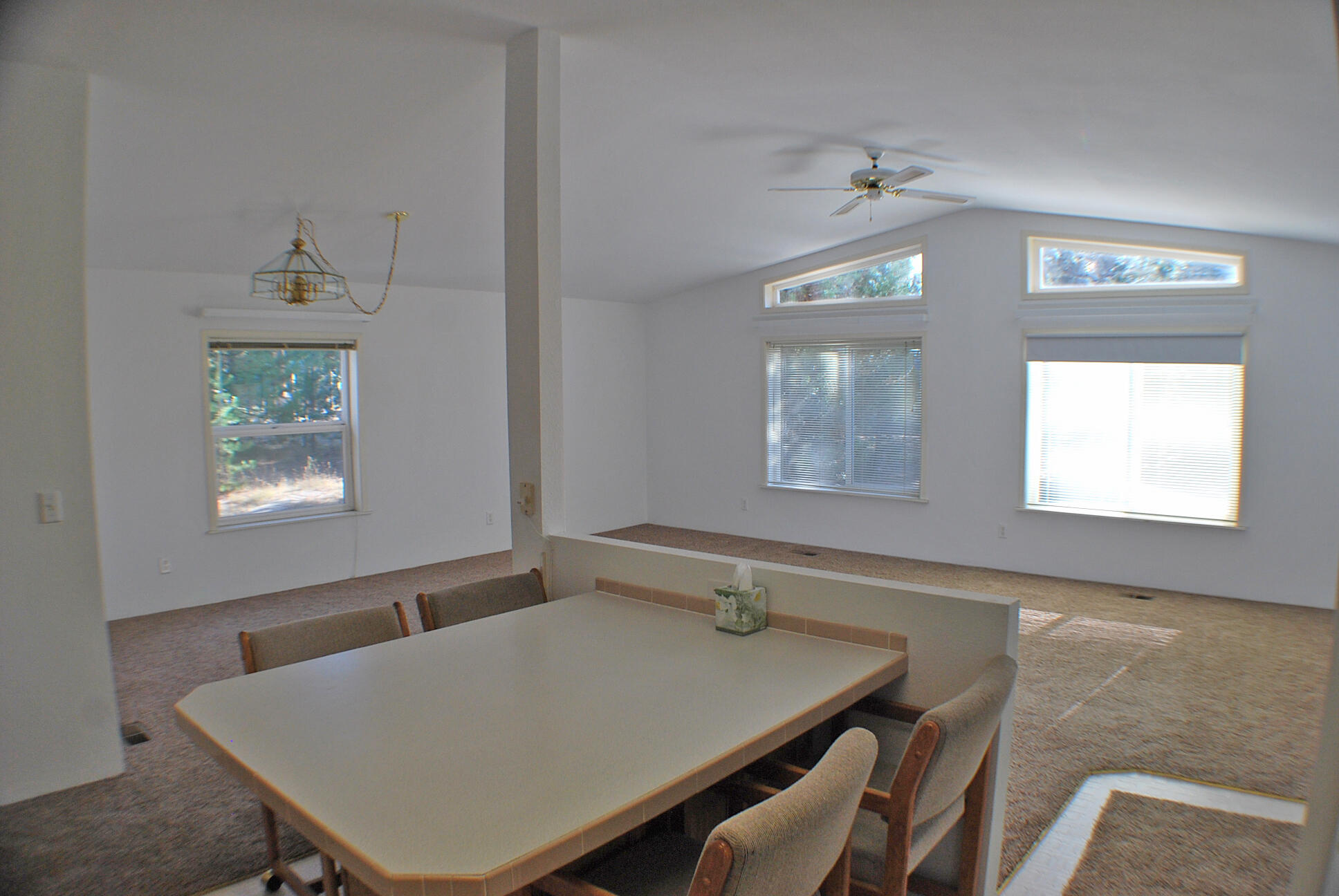 52744 Golden Astor Road