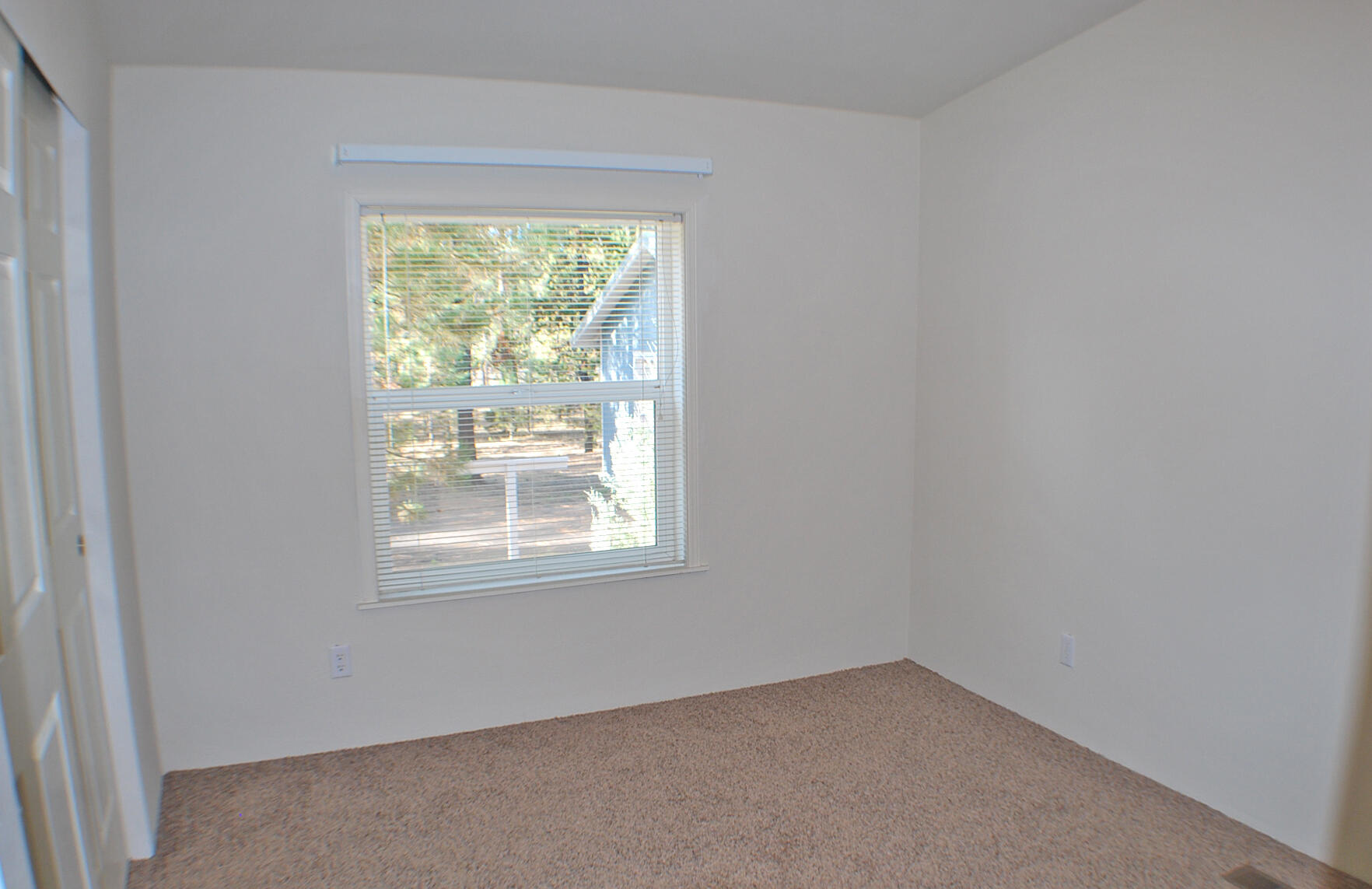 52744 Golden Astor Road