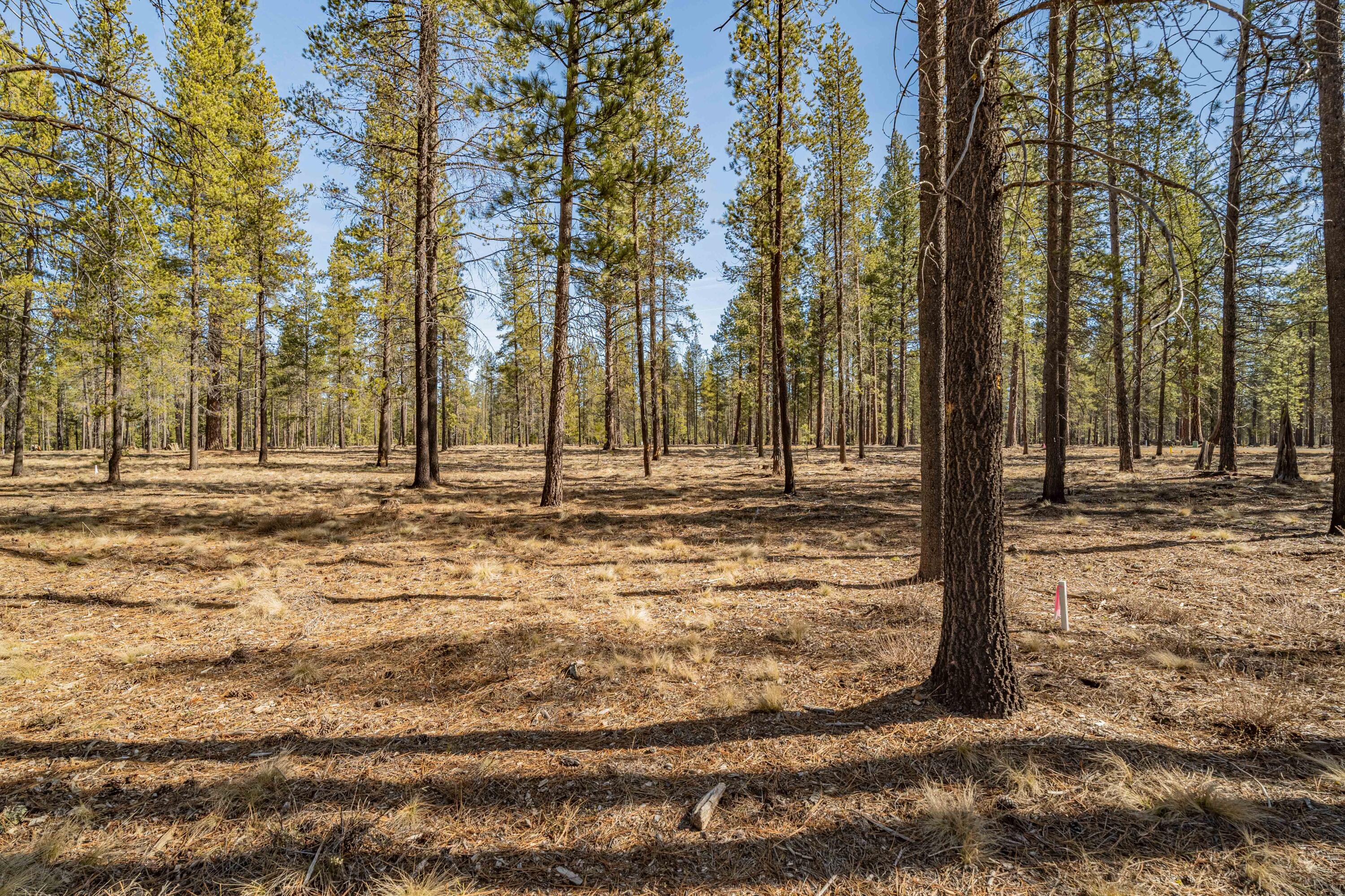 Preservation Loop Unit: 463