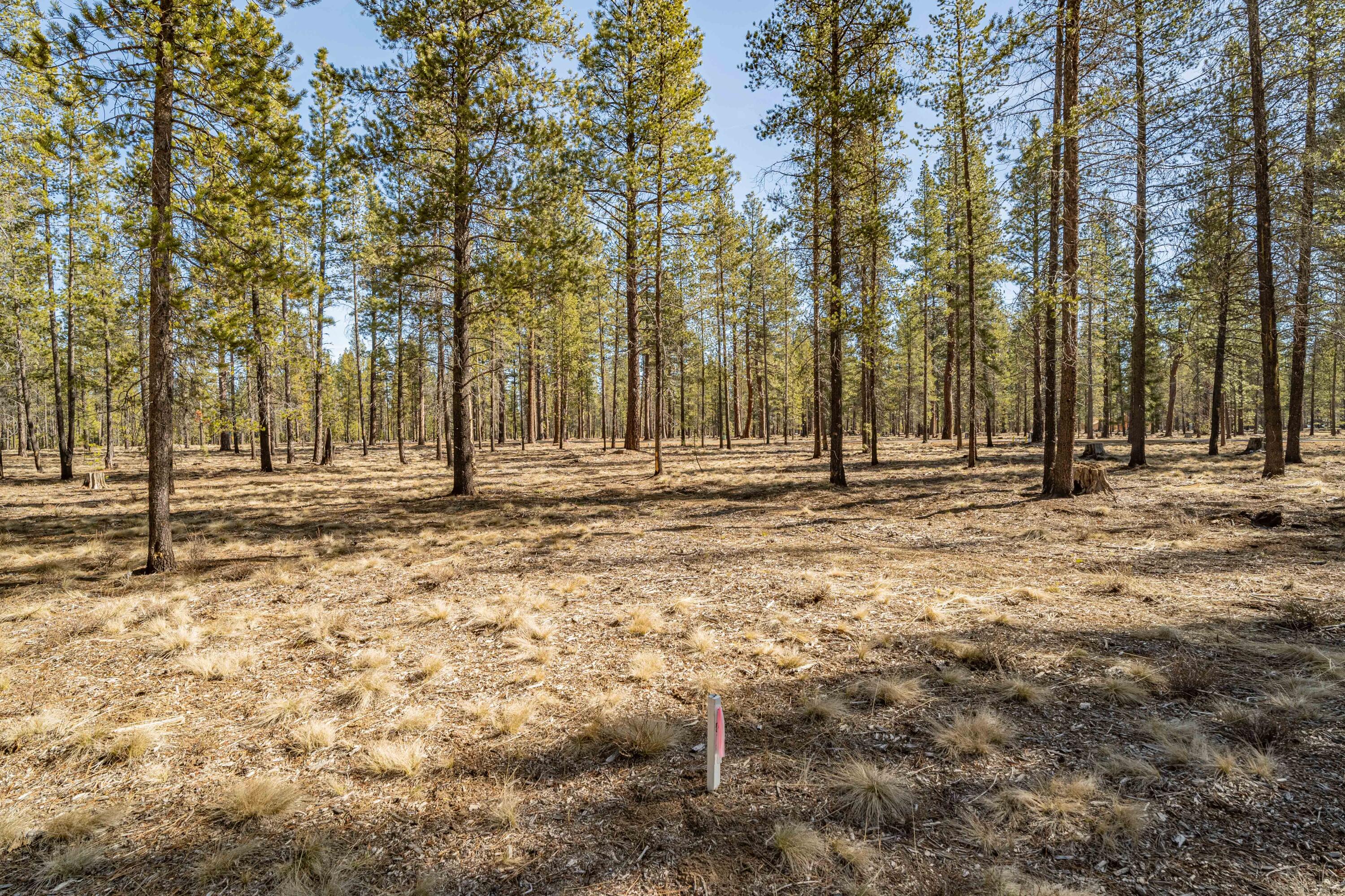 Preservation Loop Unit: 462