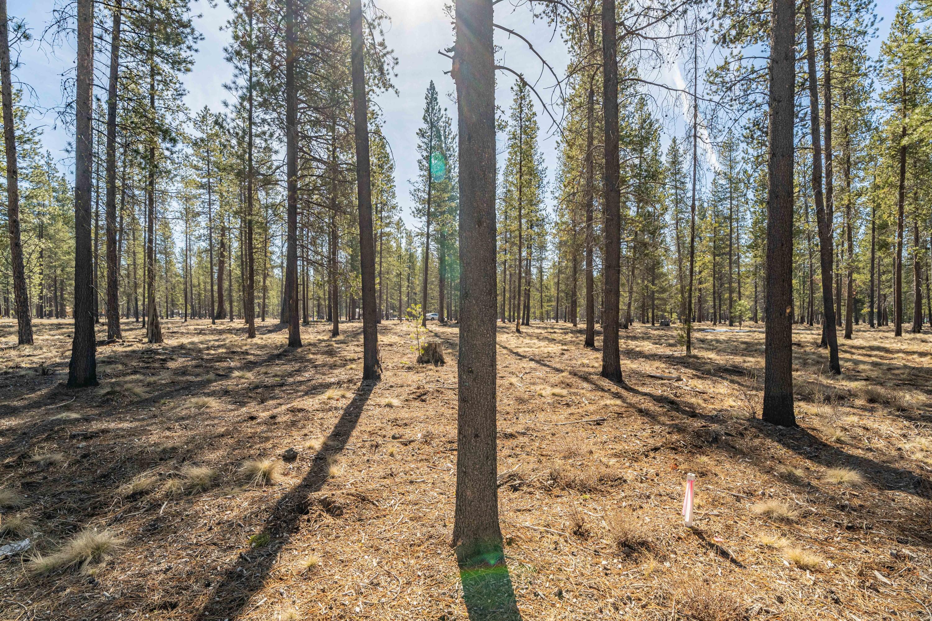 Preservation Loop Unit: 462