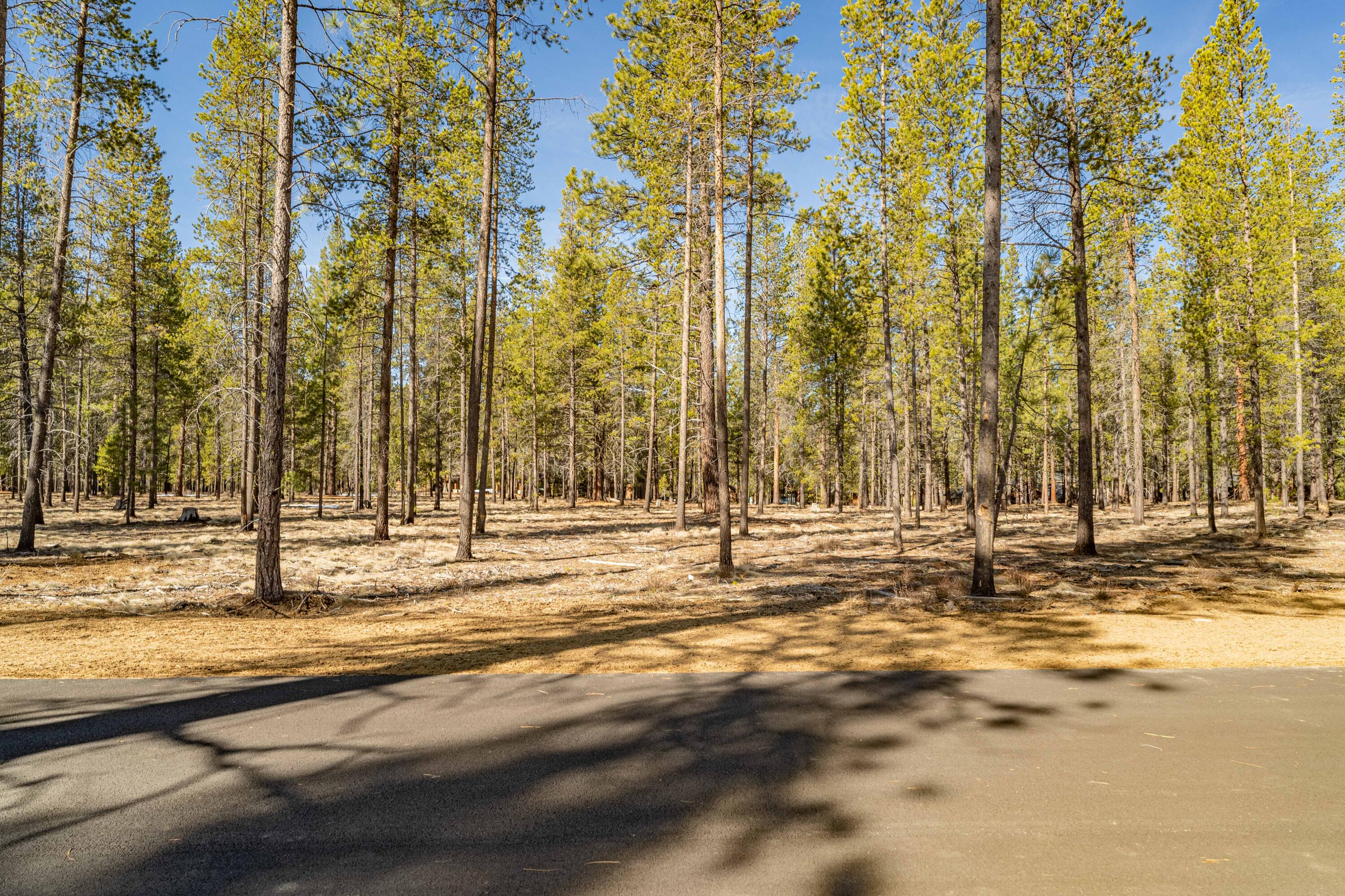 Preservation Loop Unit: 462