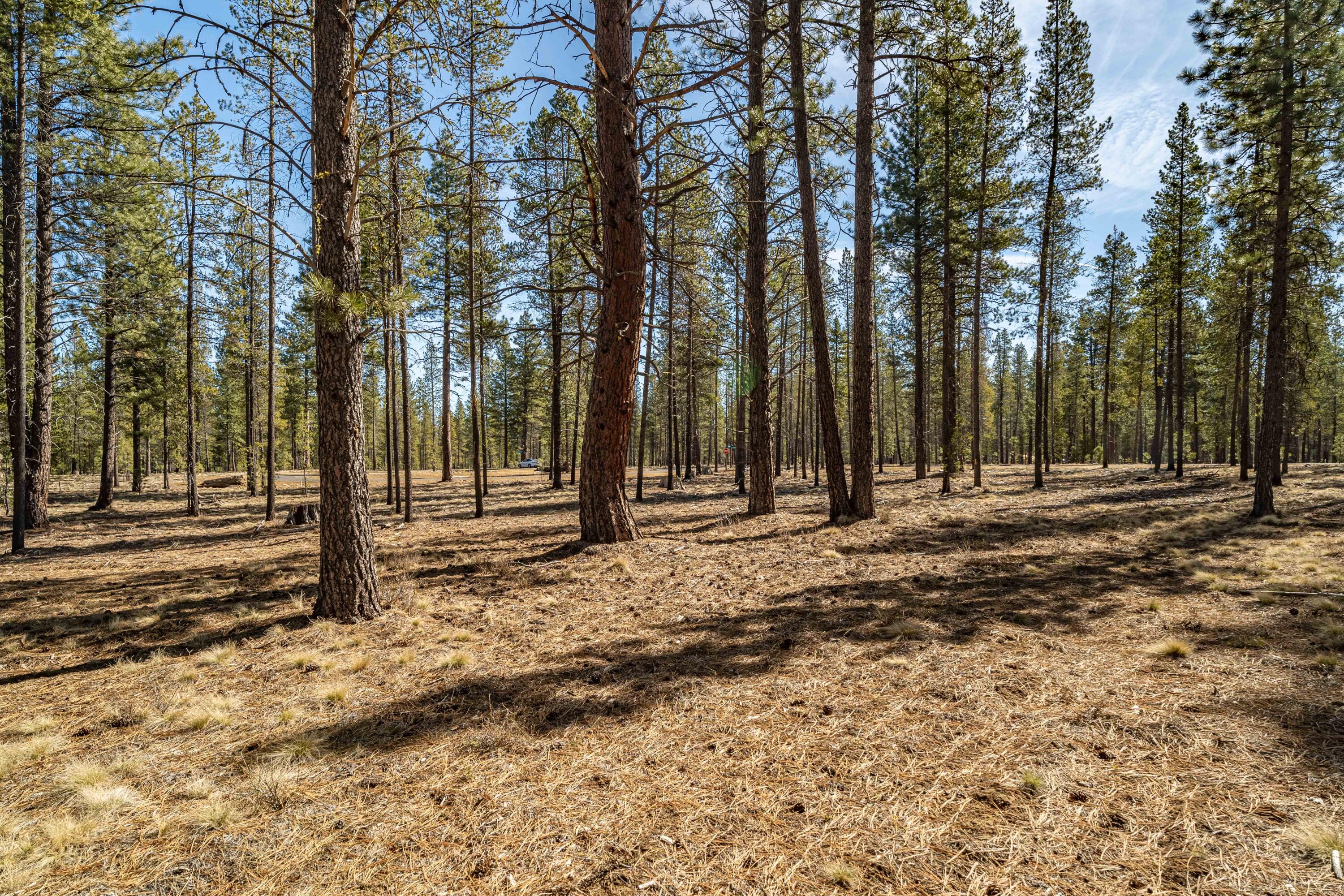 Preservation Loop Unit: 467
