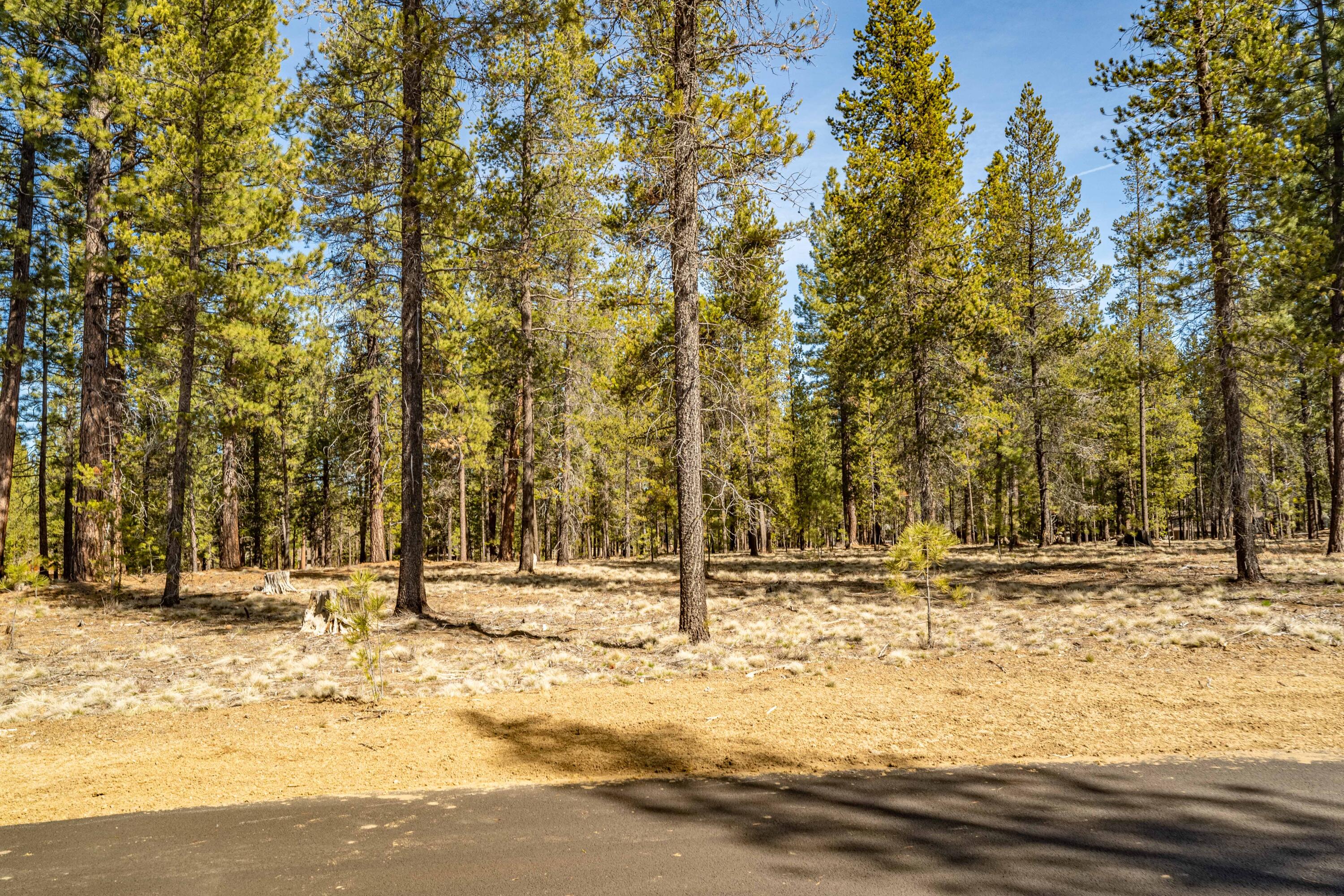 Preservation Loop Unit: 470