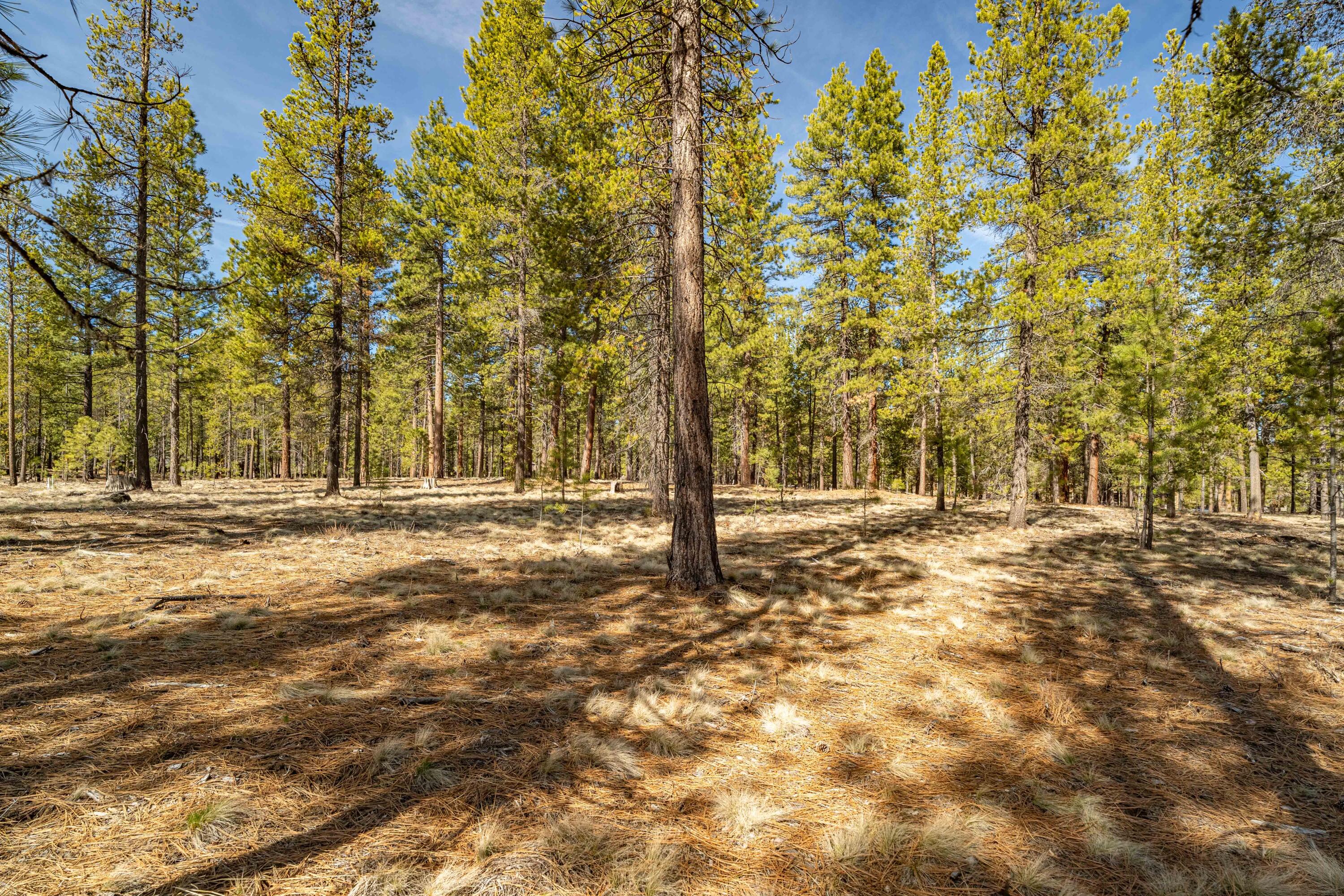 Preservation Loop Unit: 470