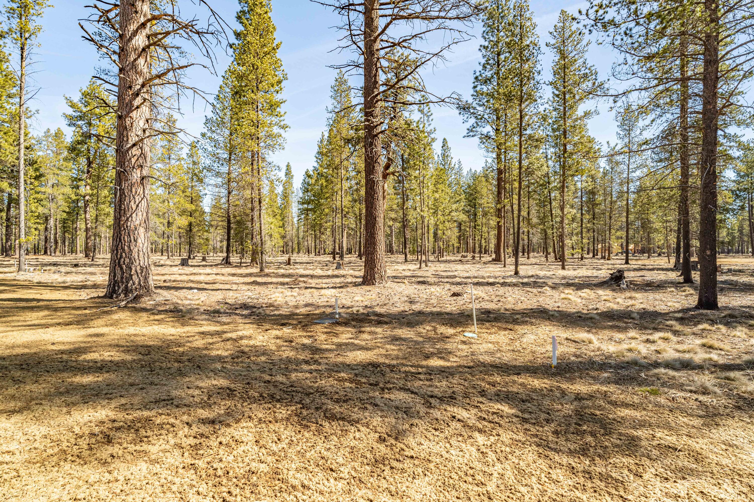 Preservation Loop Unit: 490