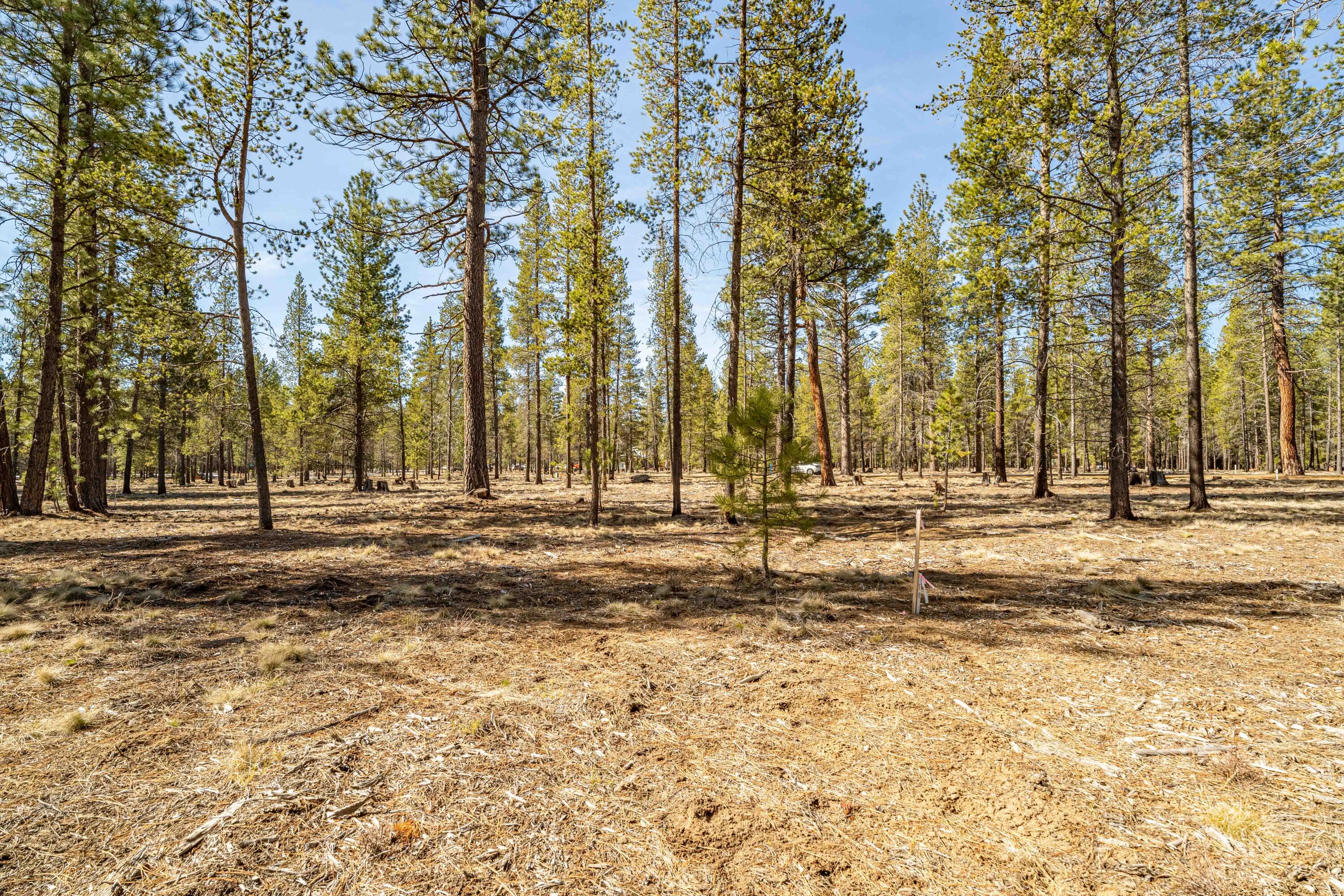Preservation Loop Unit: 490