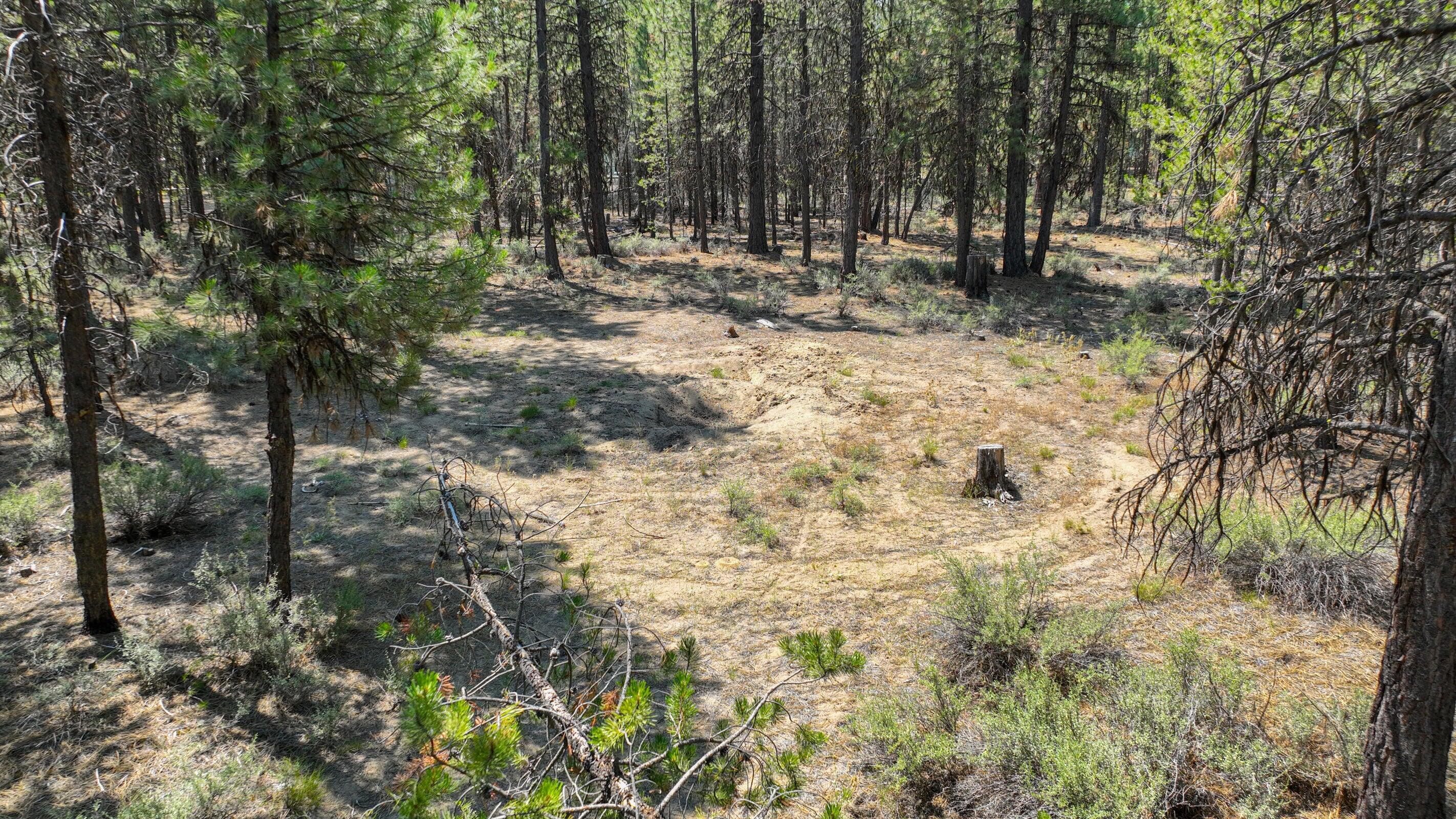 15875 Yellowood Court