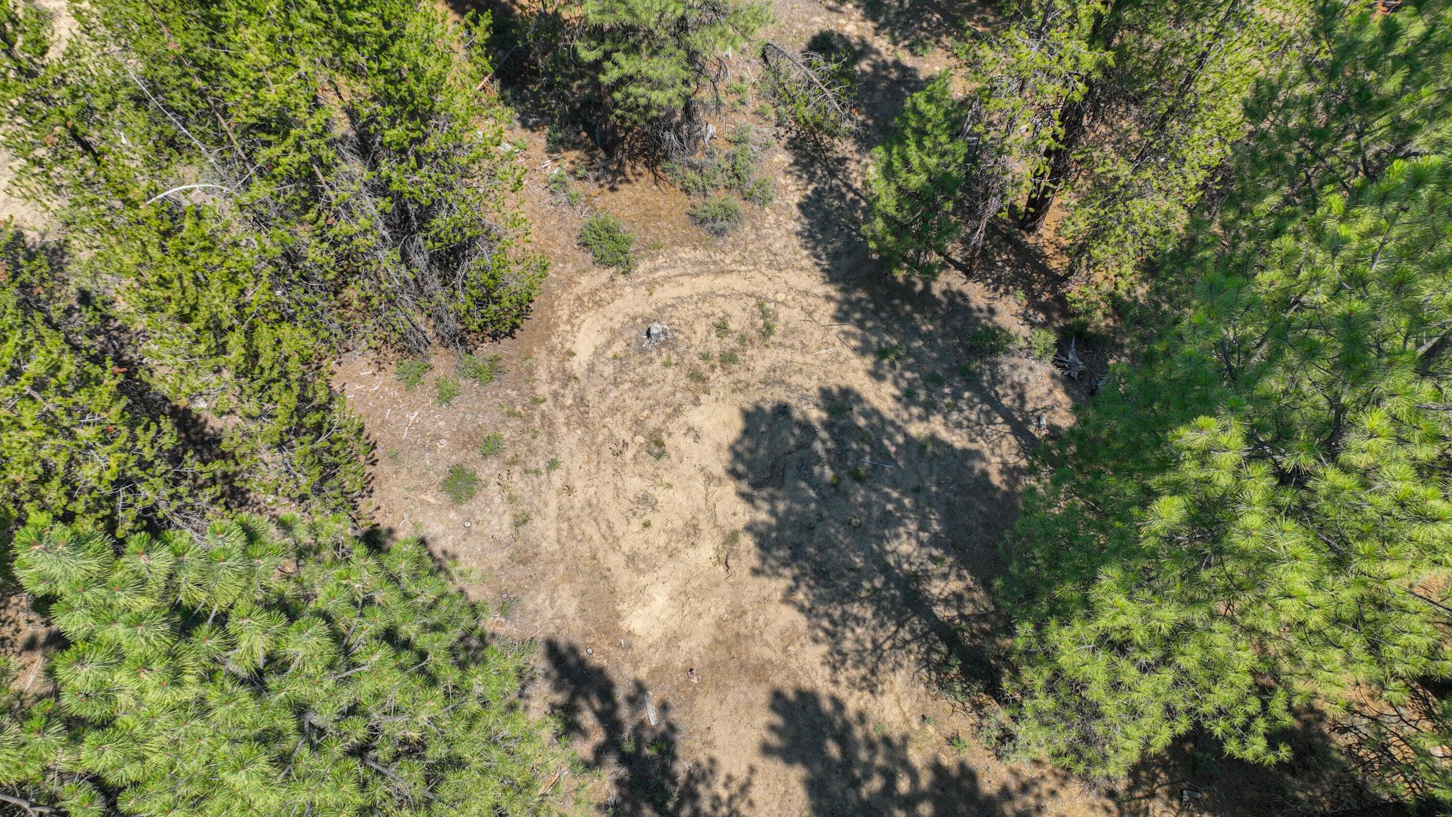 15875 Yellowood Court