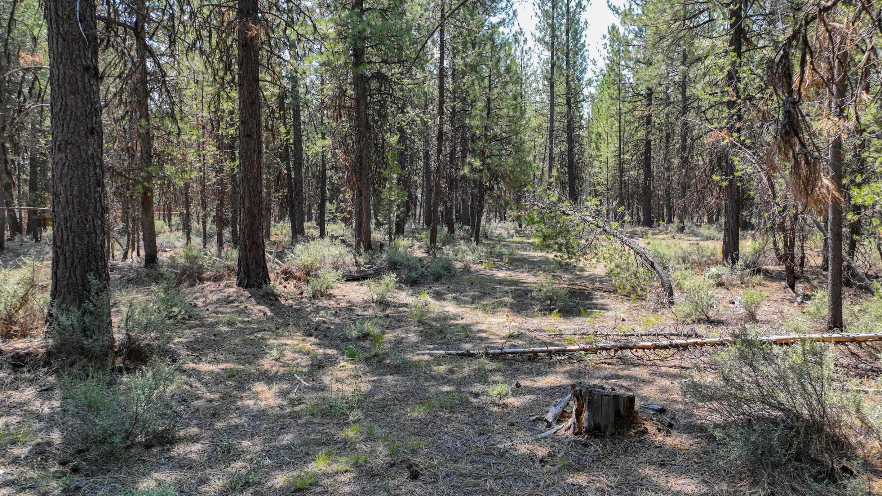 15875 Yellowood Court