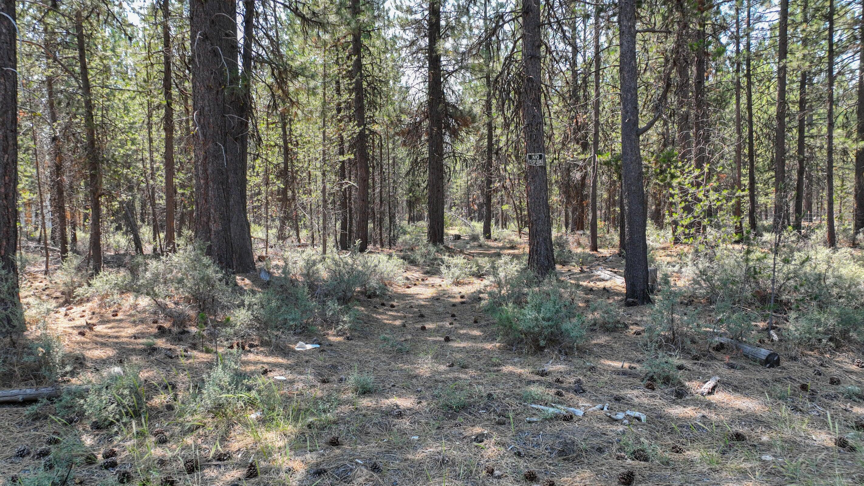 15875 Yellowood Court