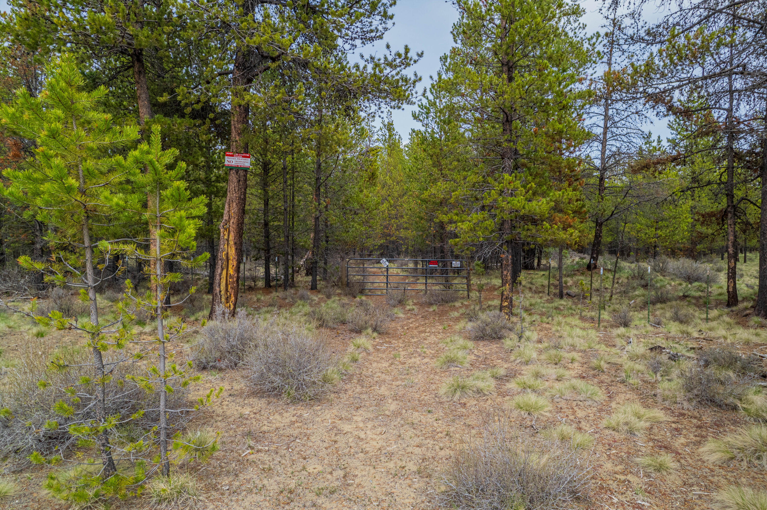54970 Roundtree Lane