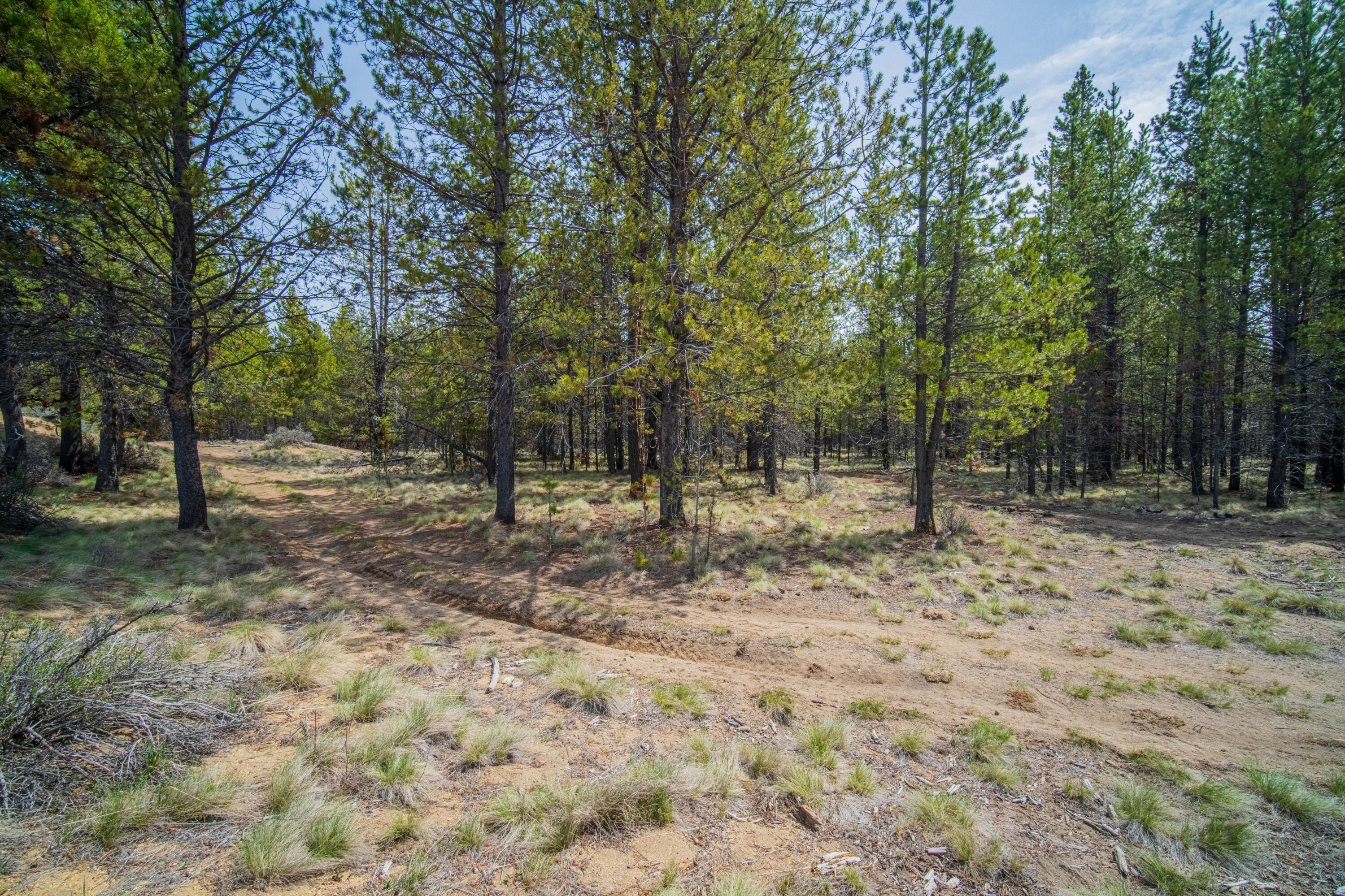54970 Roundtree Lane