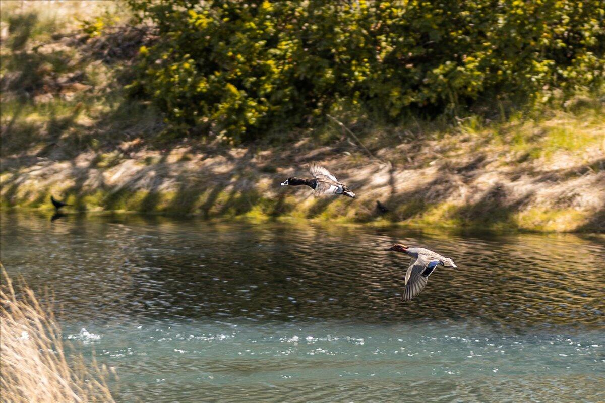 58033 Mulligan Lane Unit: 16