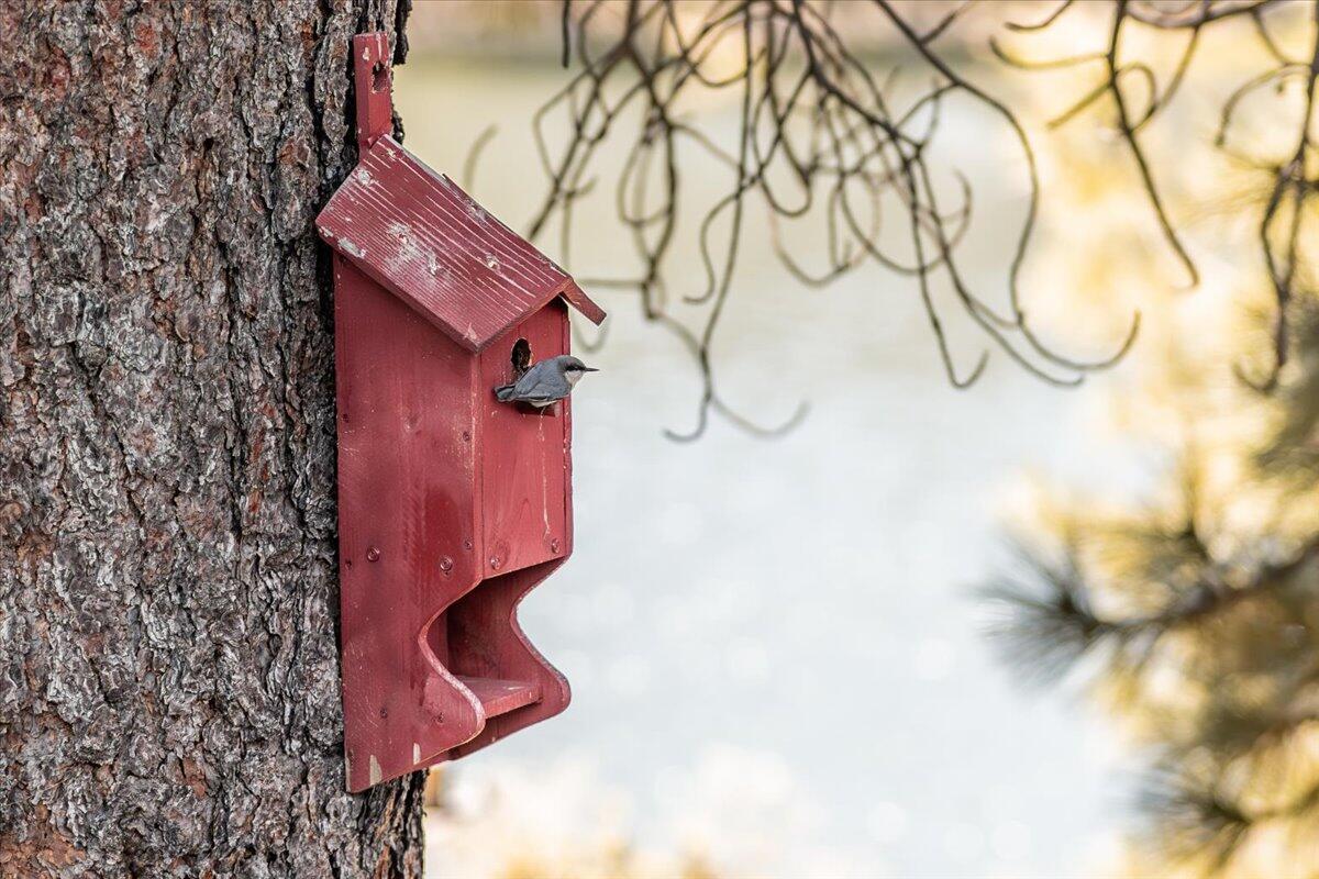 58033 Mulligan Lane Unit: 16