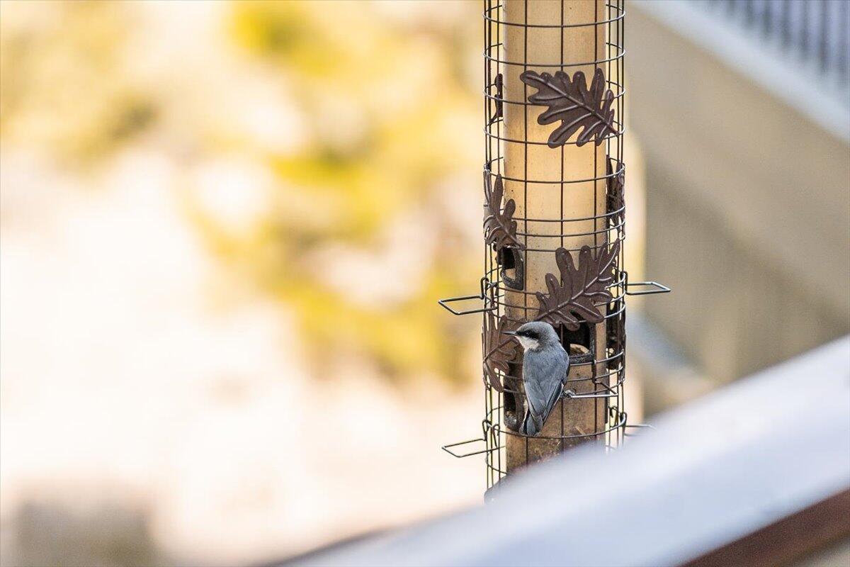 58033 Mulligan Lane Unit: 16