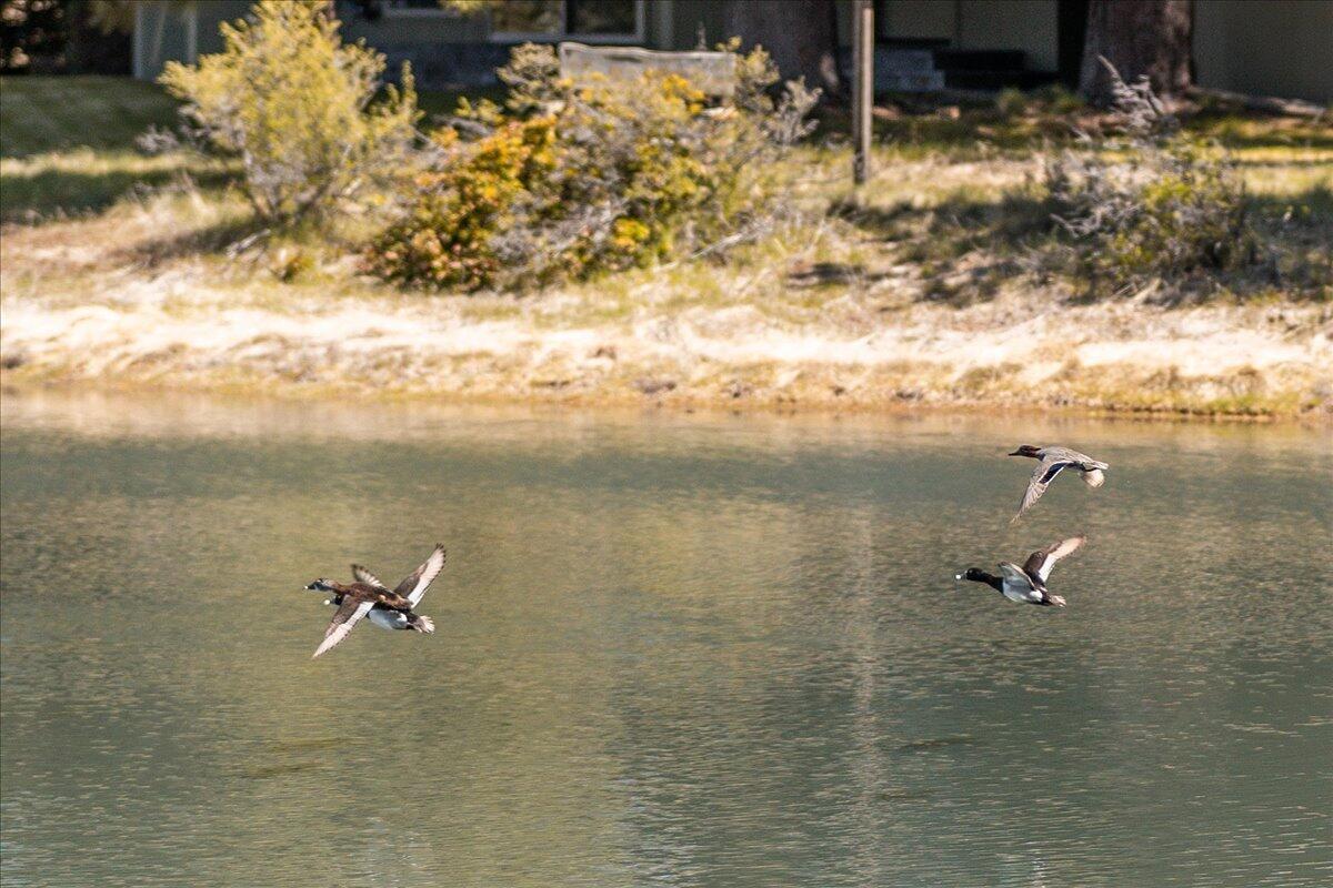 58033 Mulligan Lane Unit: 16