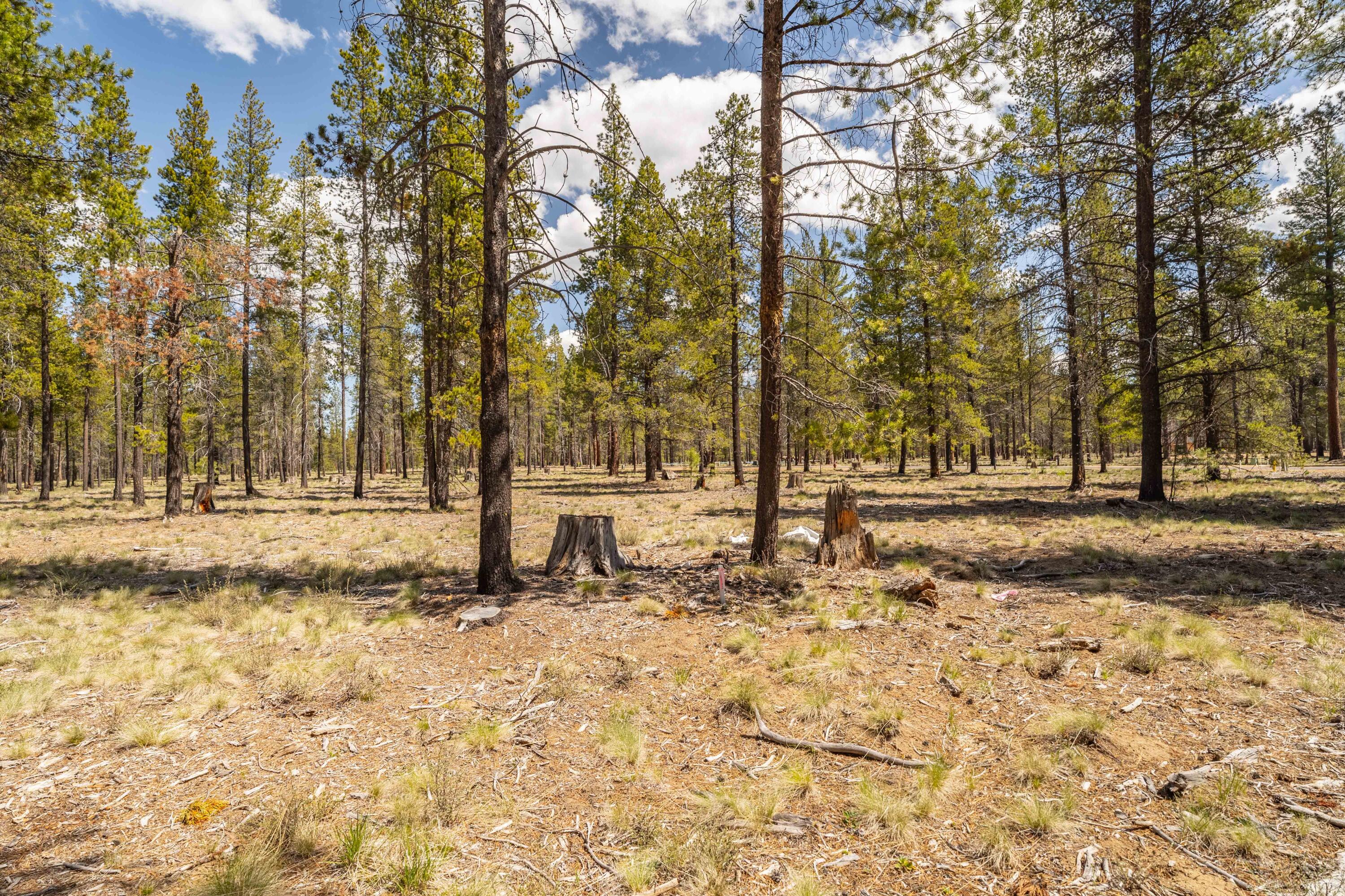 Preservation Loop Unit: 460