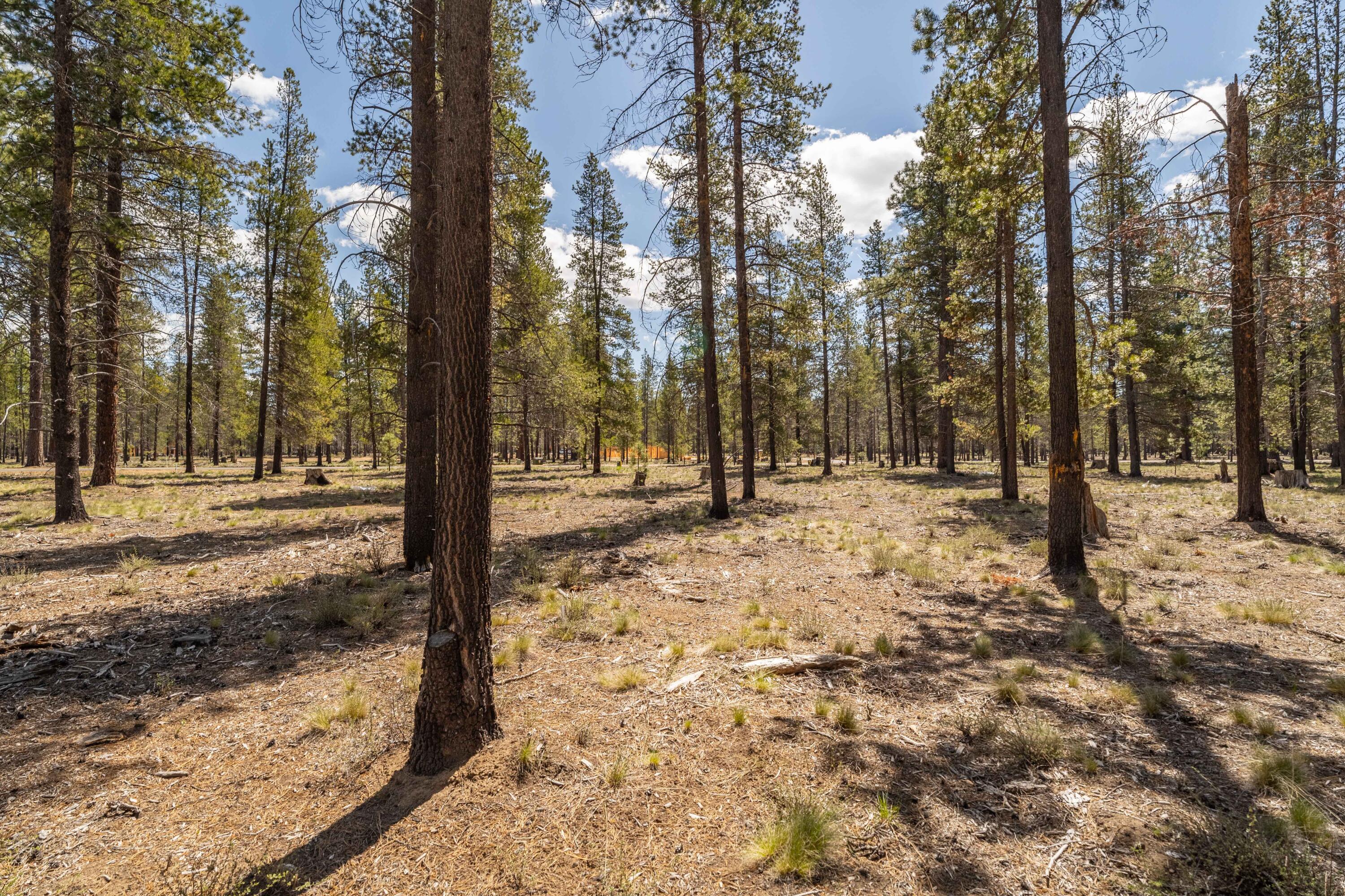 Preservation Loop Unit: 460