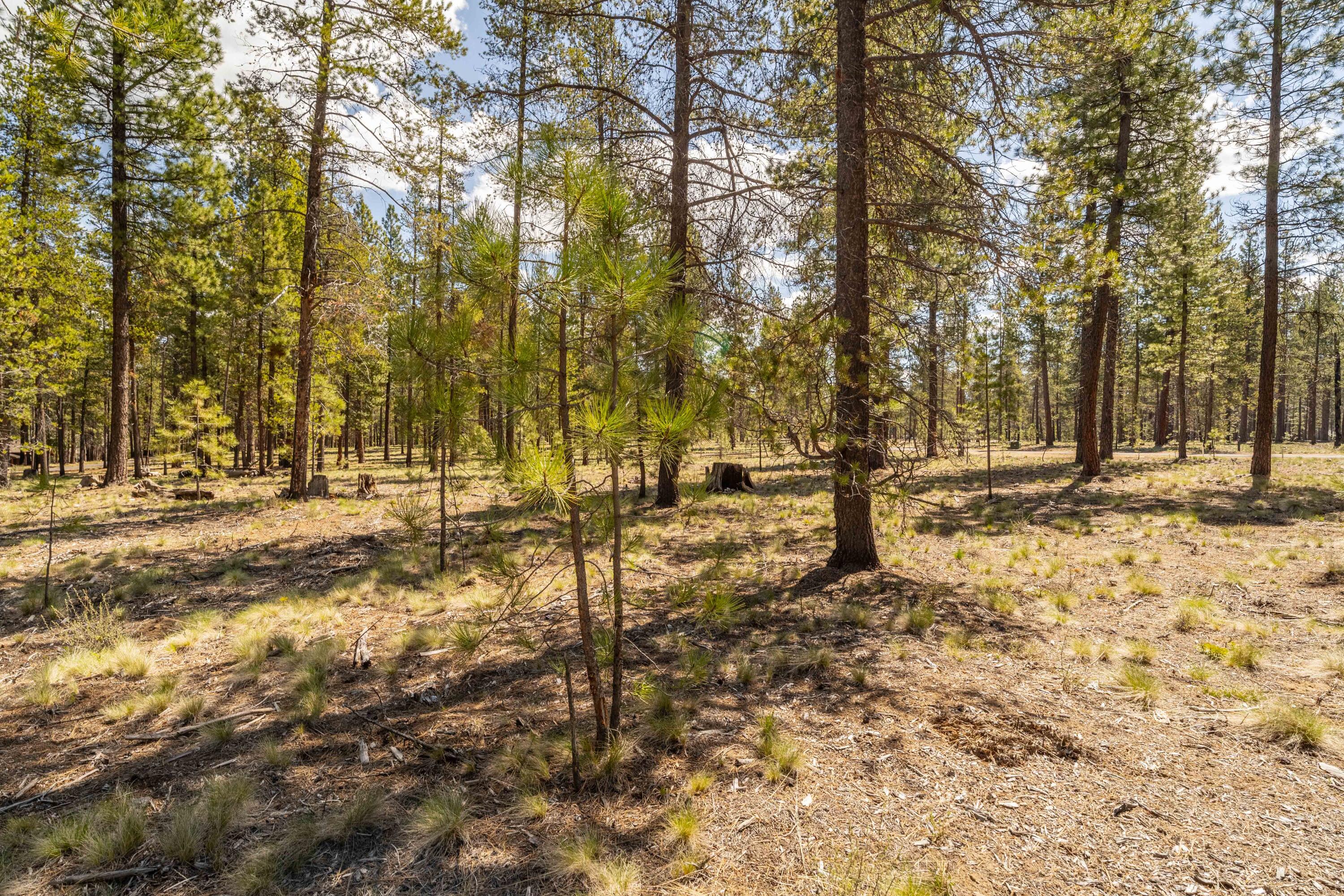 Preservation Loop Unit: 471