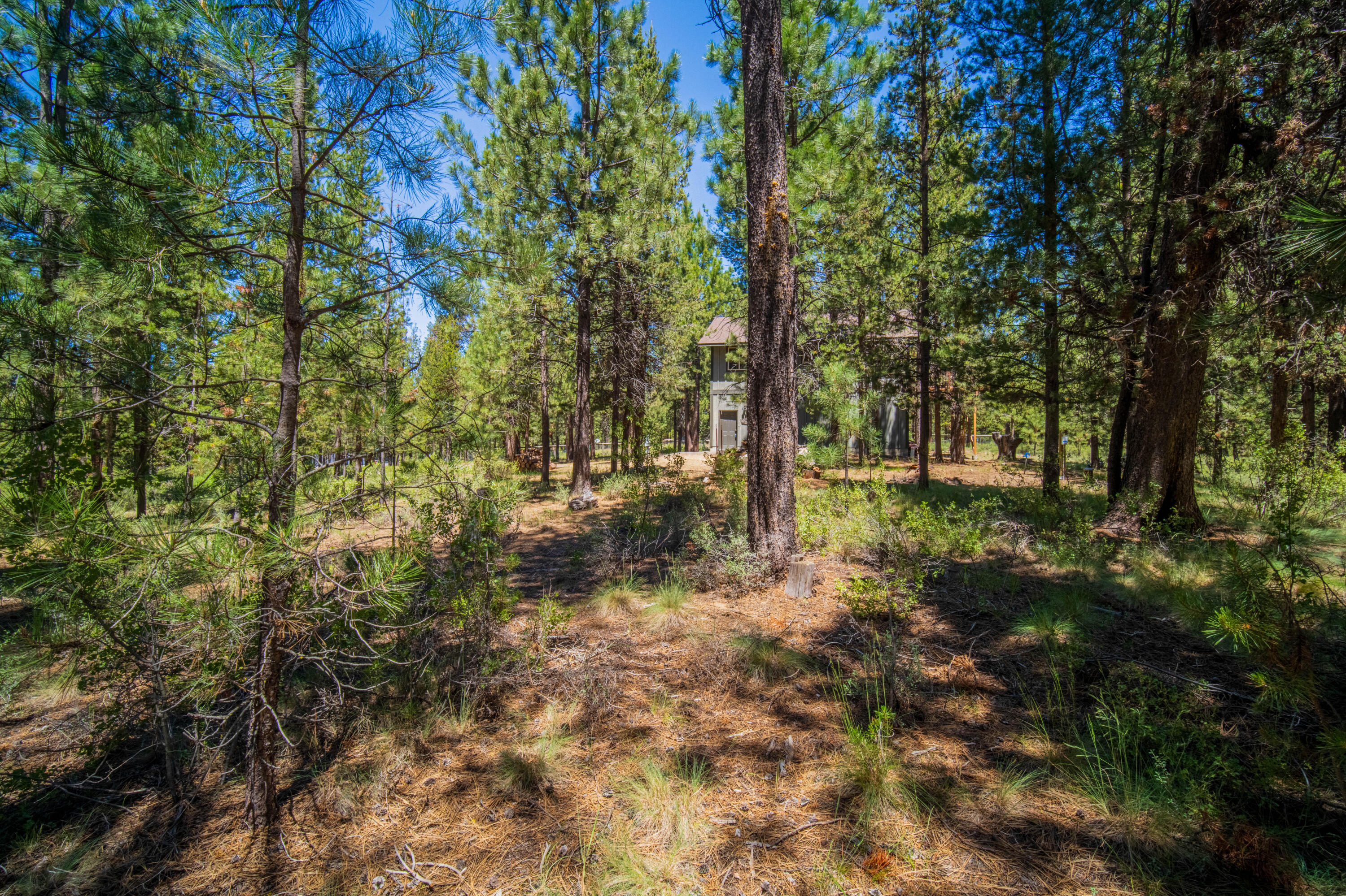 15150 Yellow Pine Loop