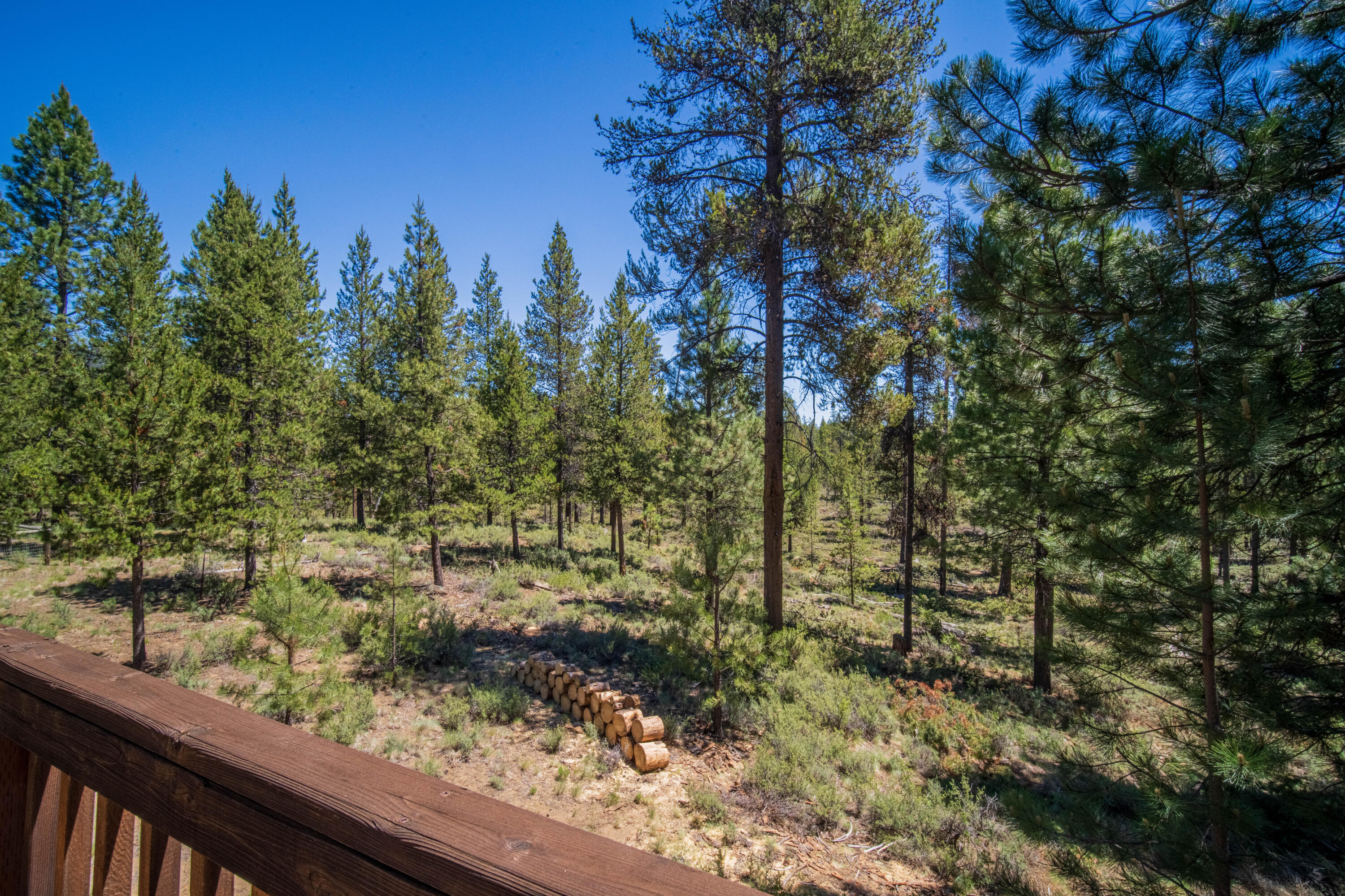 15150 Yellow Pine Loop
