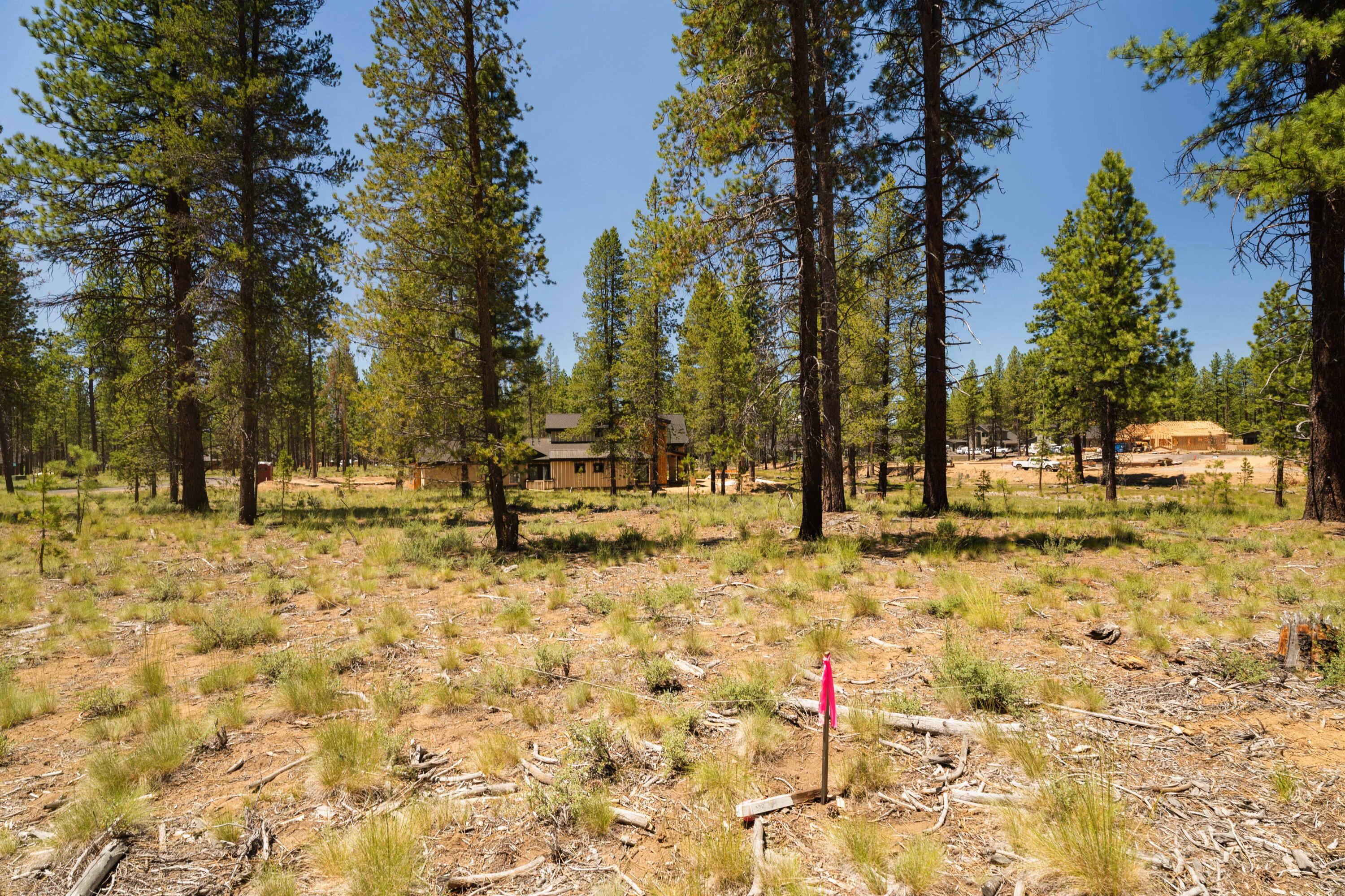 18235 Basalt Lane Unit: 330