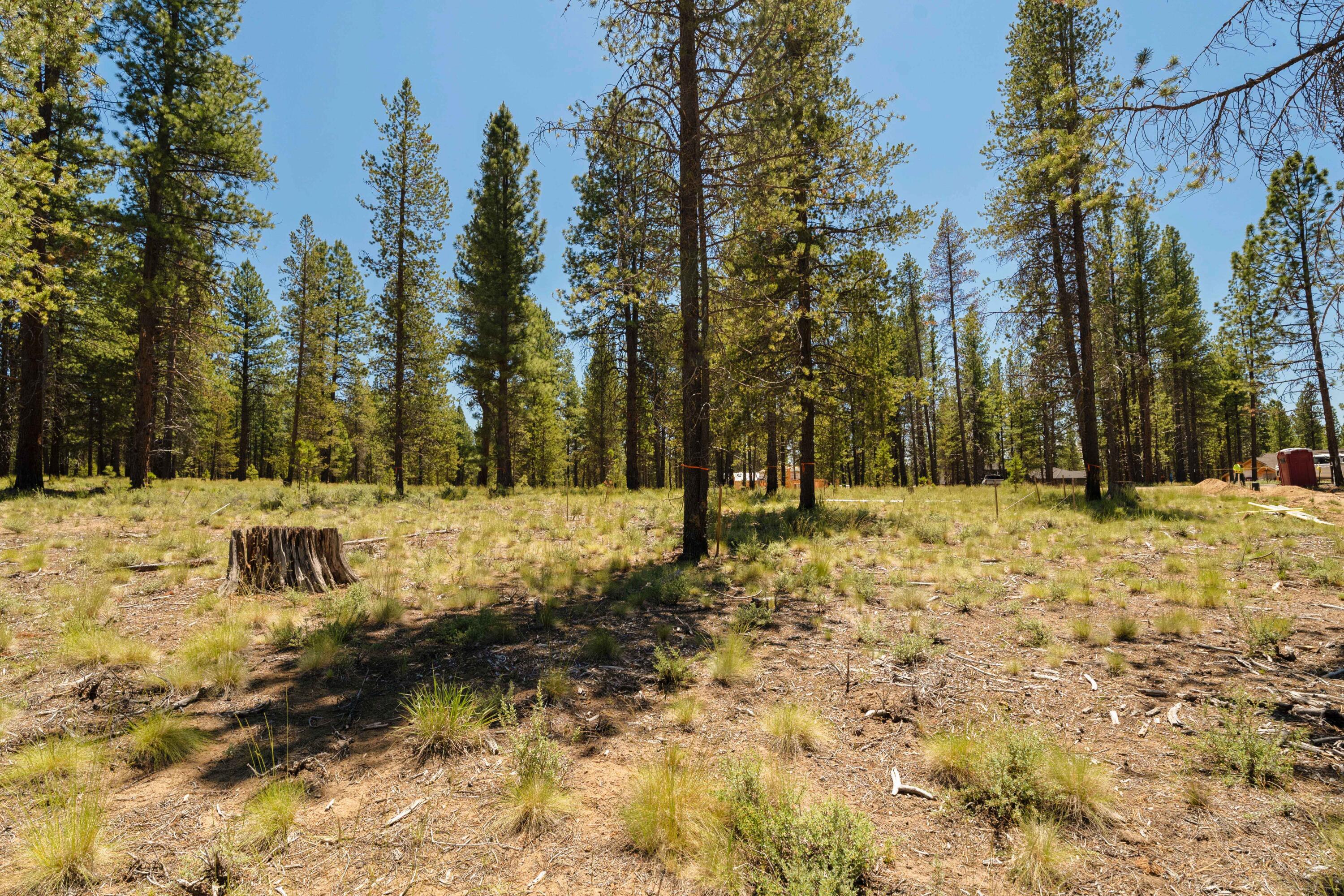 18235 Basalt Lane Unit: 330