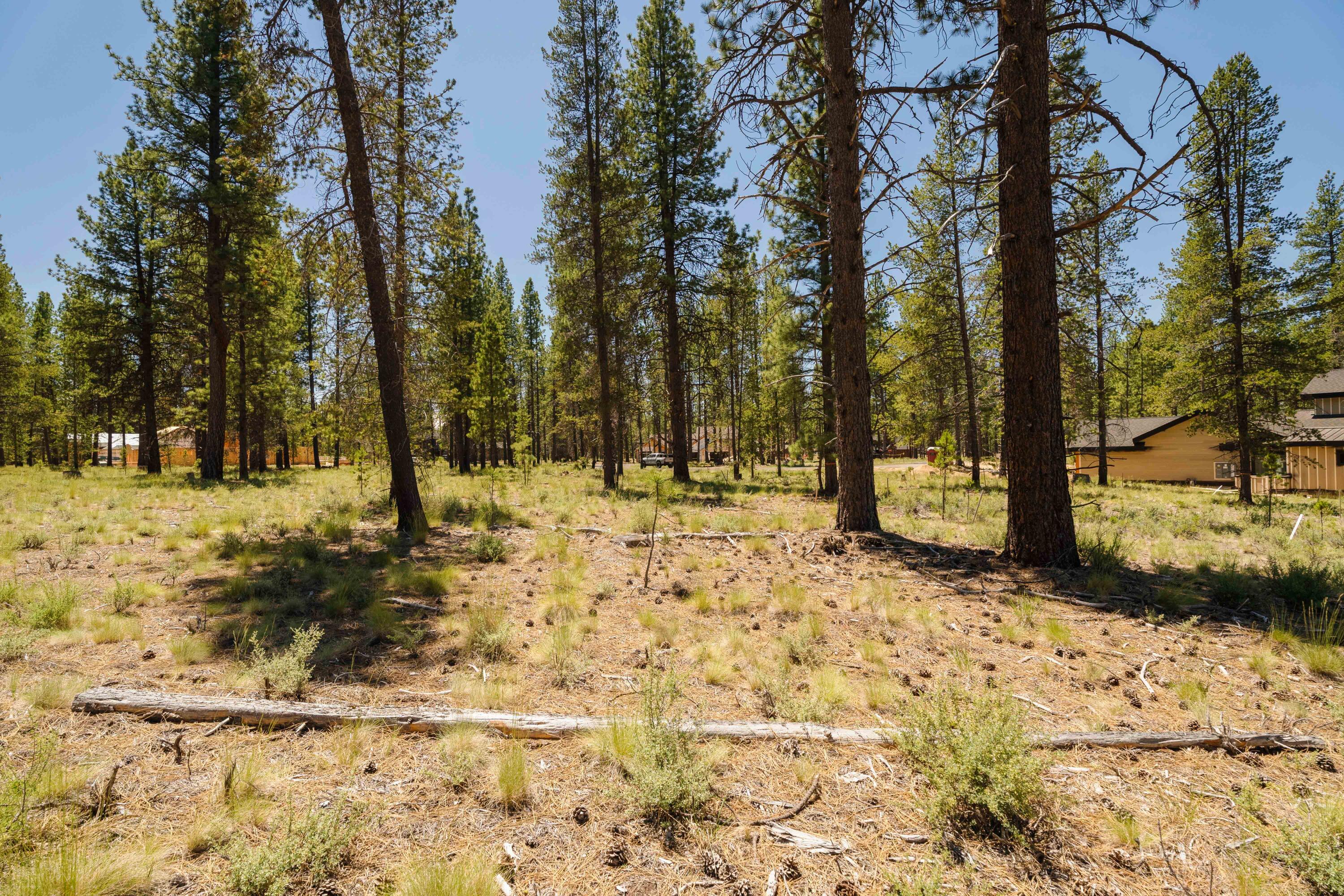 18235 Basalt Lane Unit: 330