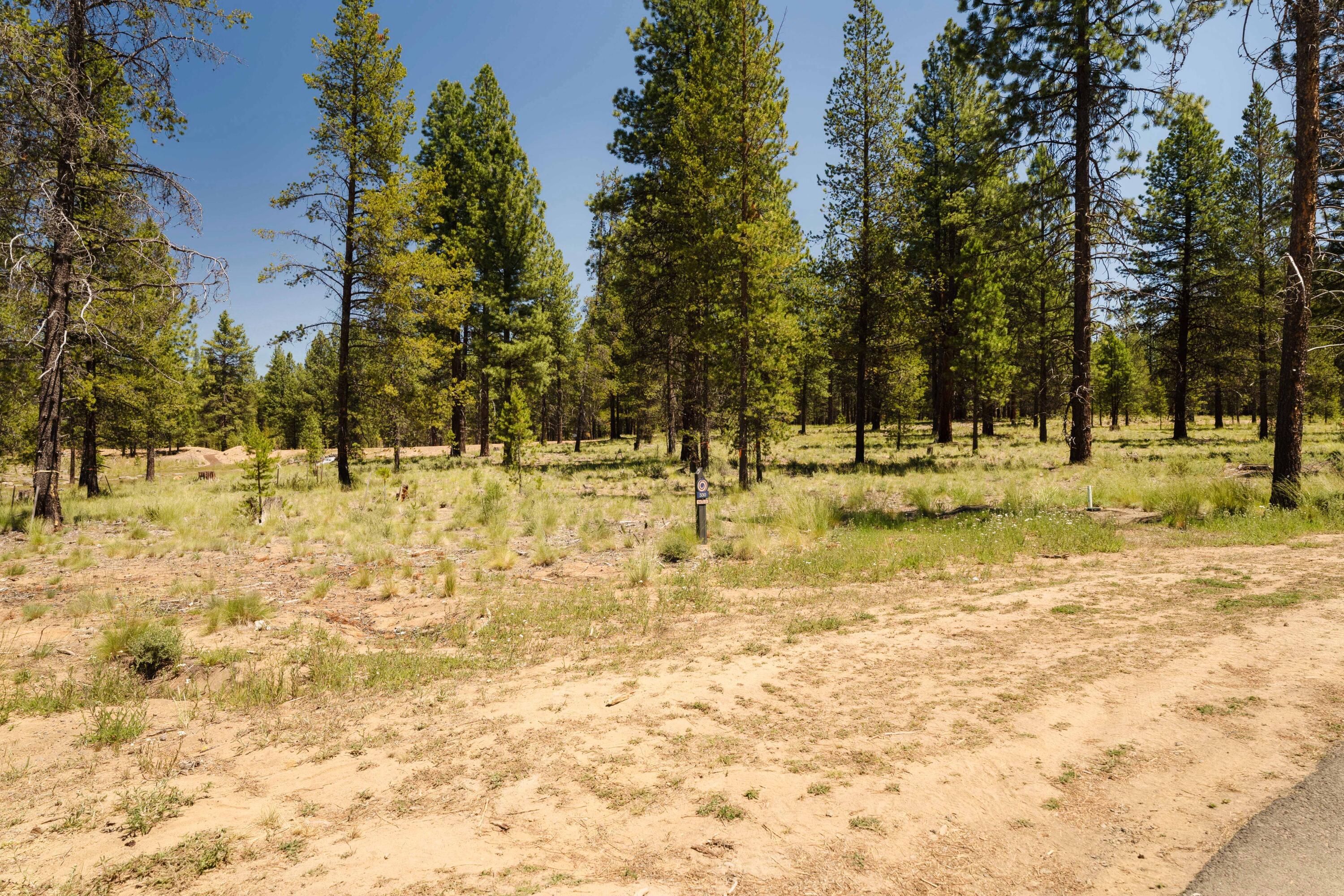18235 Basalt Lane Unit: 330
