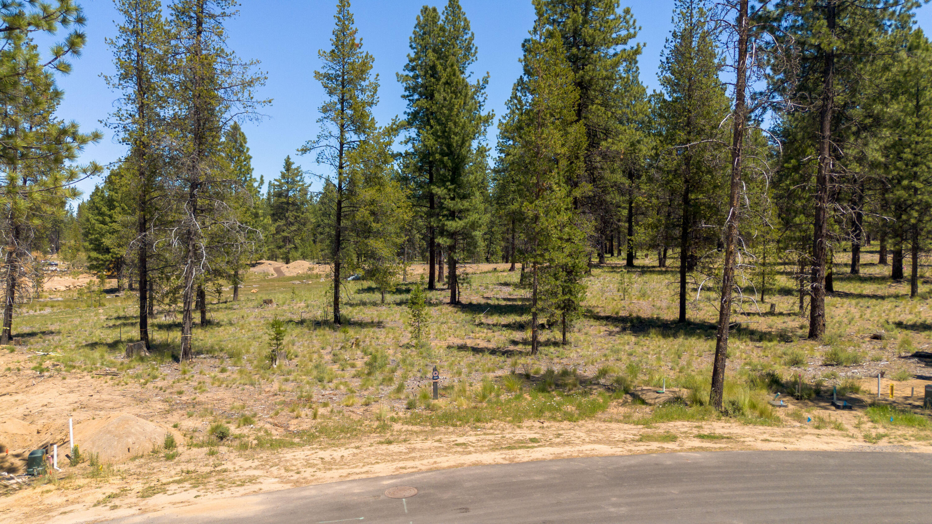 18235 Basalt Lane Unit: 330