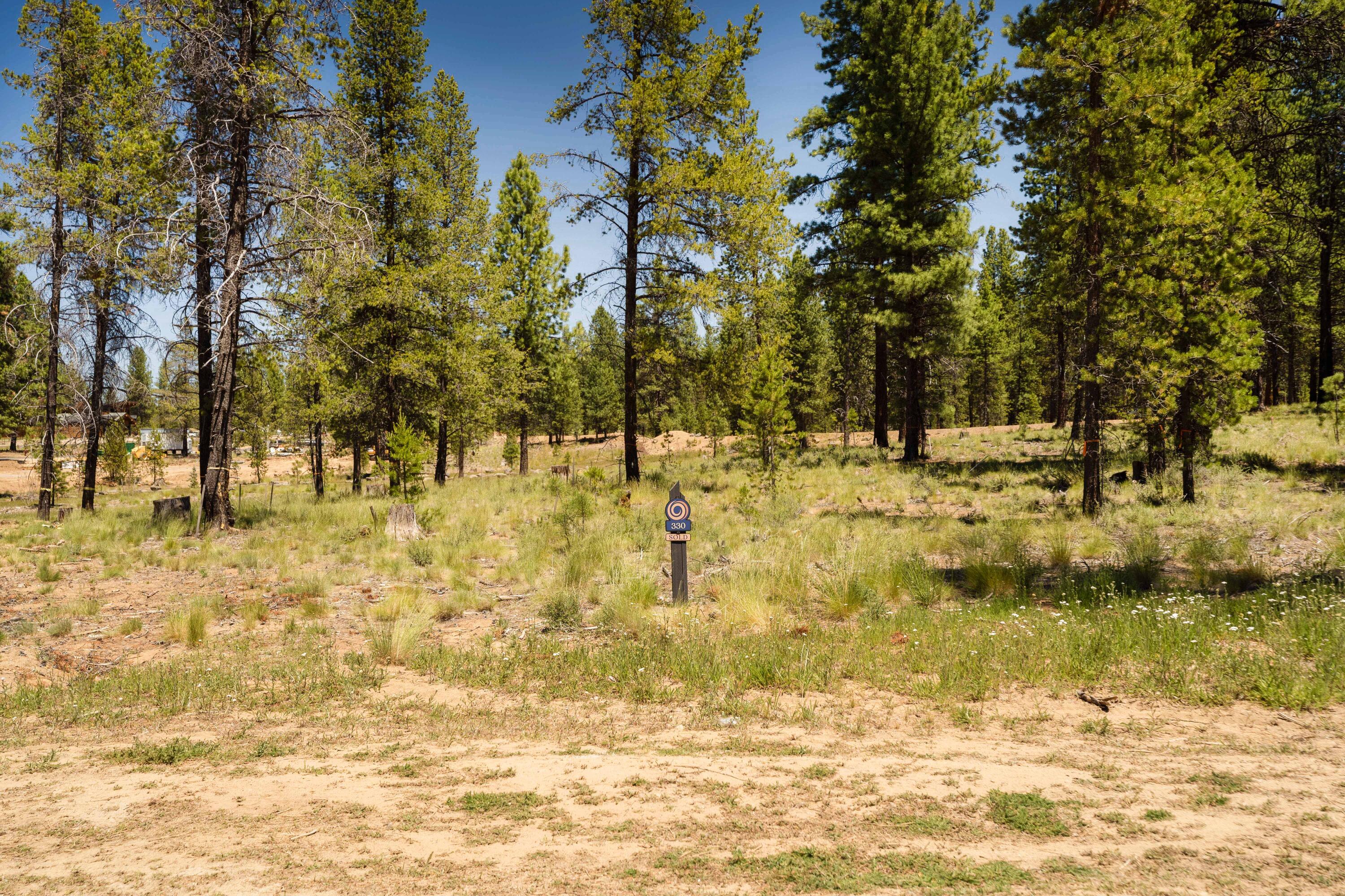 18235 Basalt Lane Unit: 330