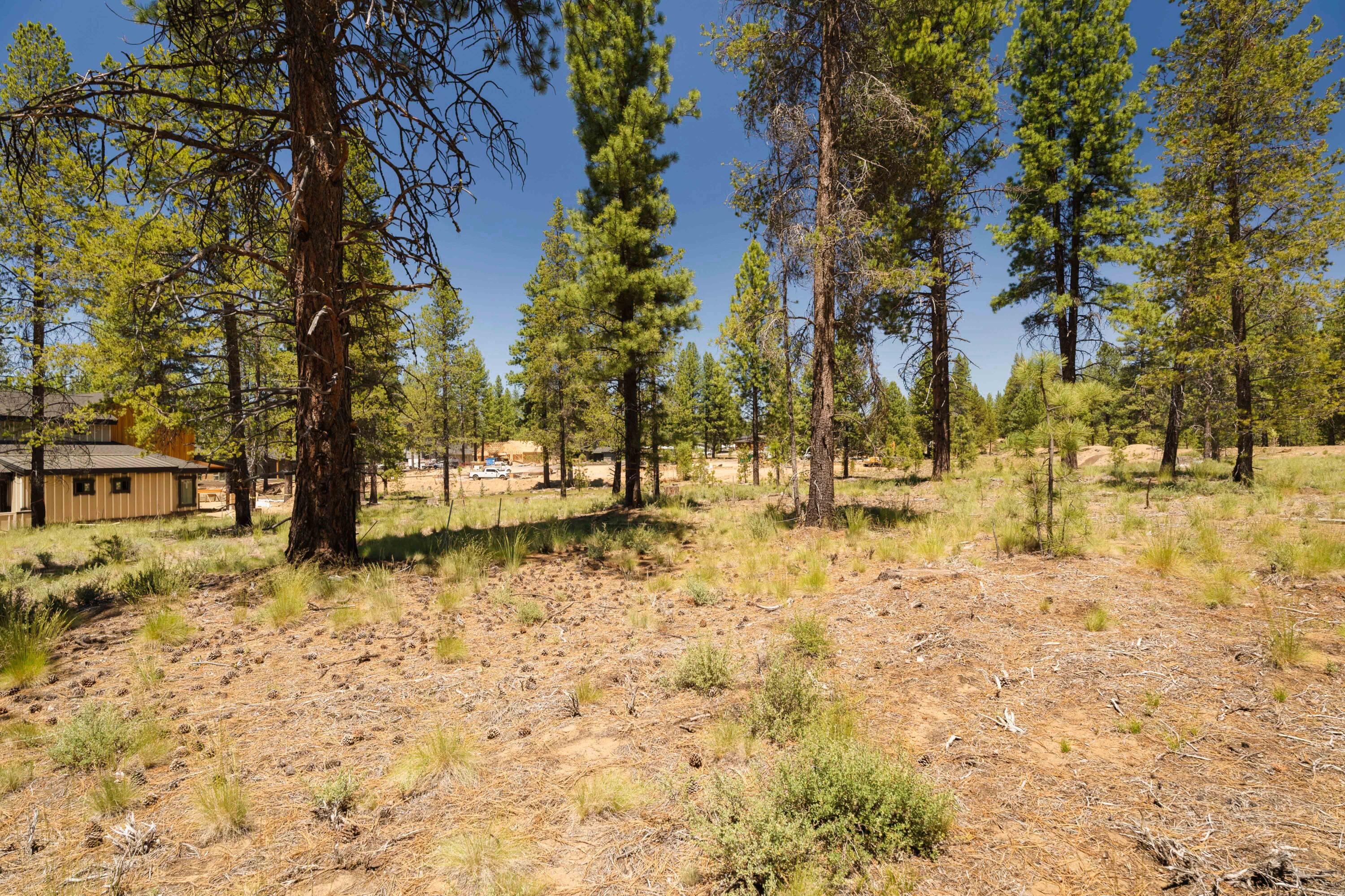 18235 Basalt Lane Unit: 330