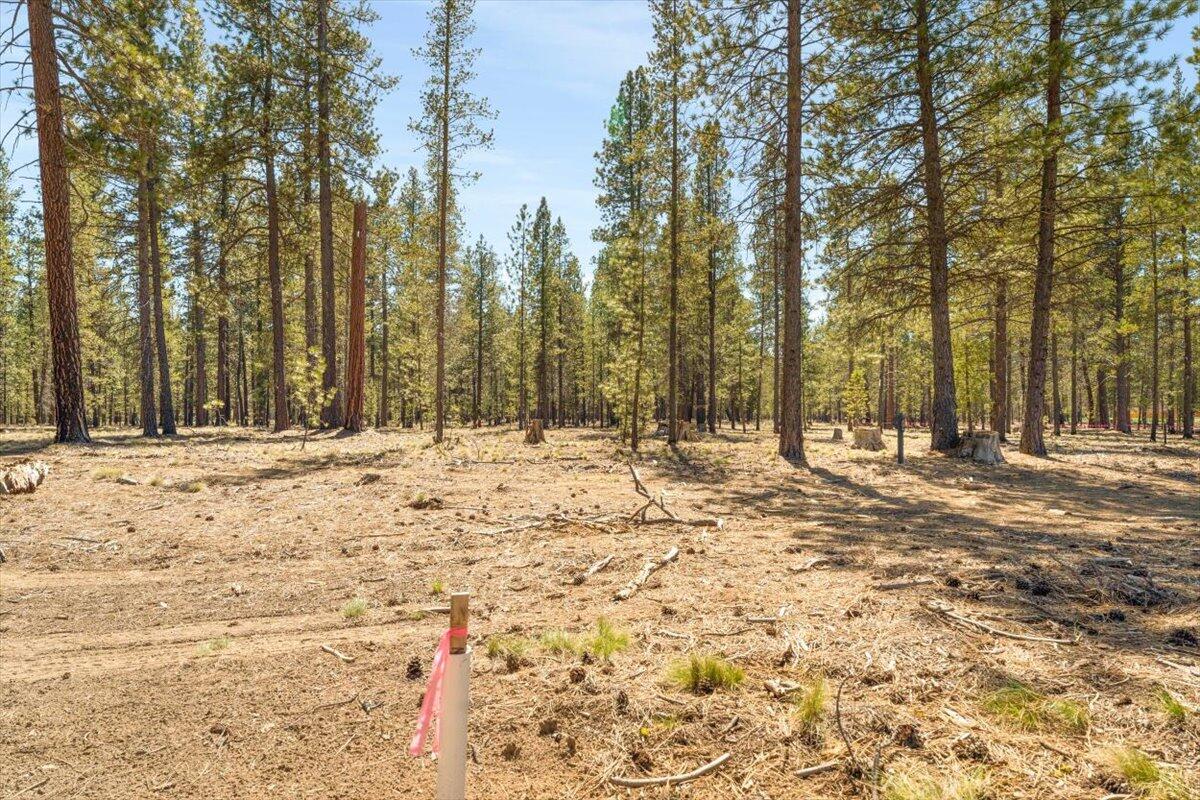 17857 Preservation Loop Unit: 425