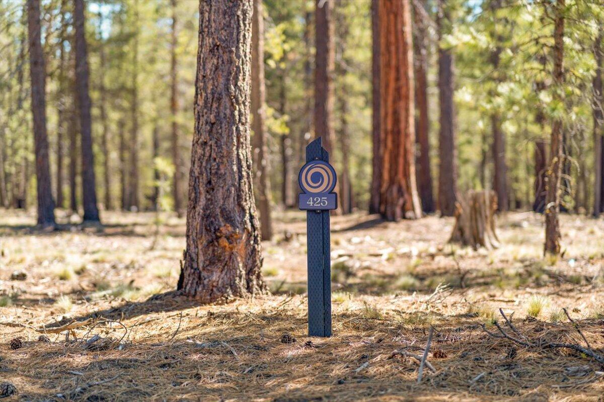 17857 Preservation Loop Unit: 425