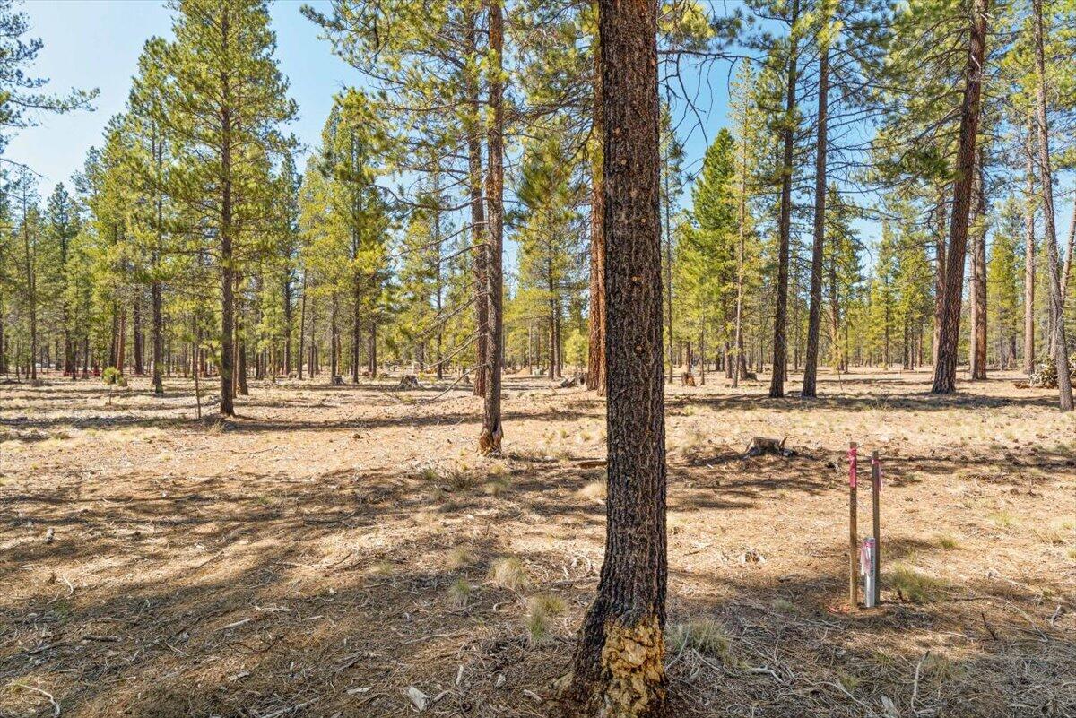 17857 Preservation Loop Unit: 425