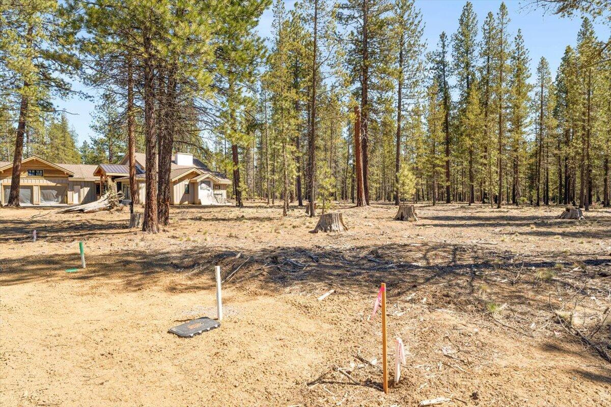 17857 Preservation Loop Unit: 425