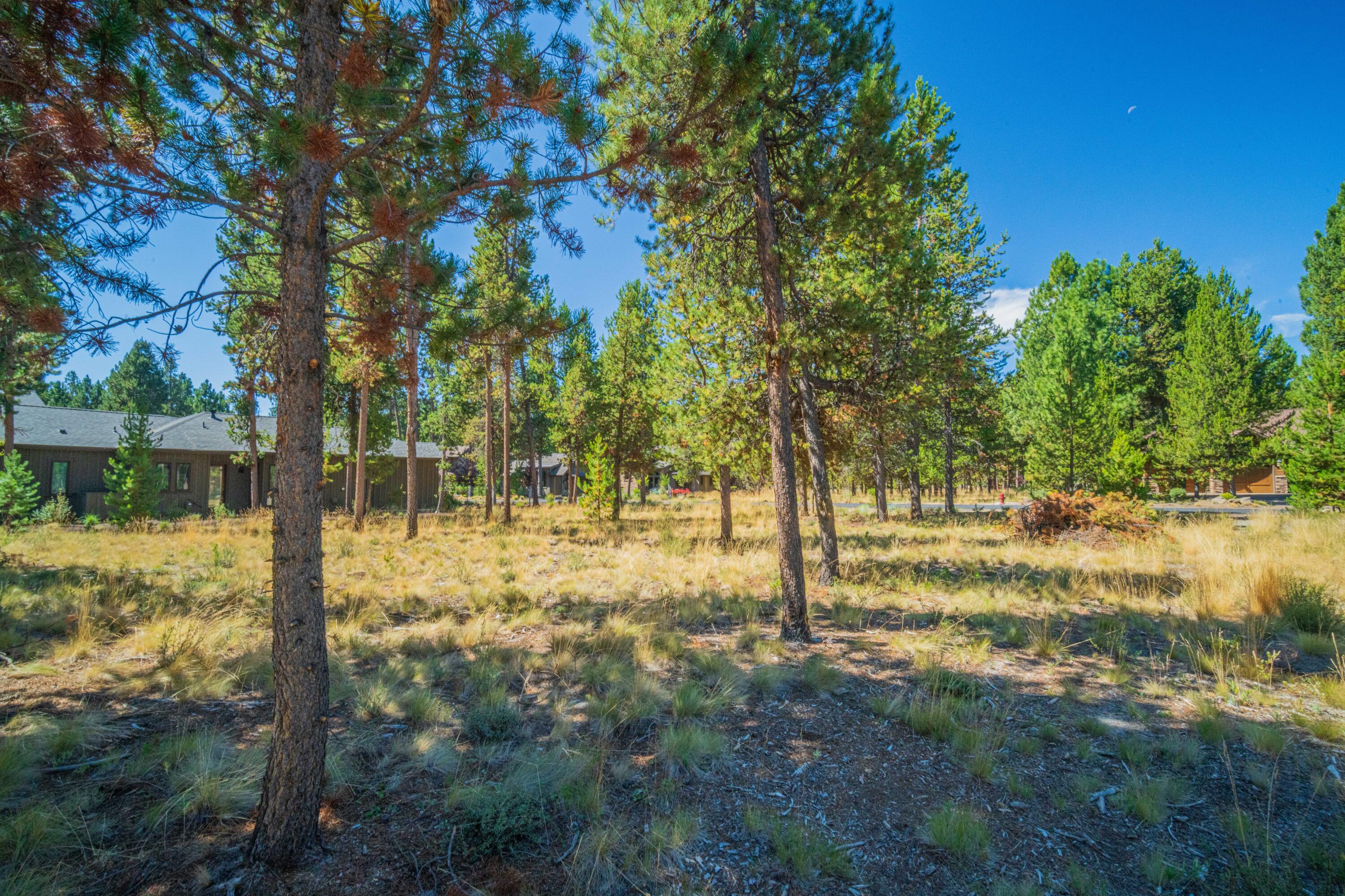 56480 SUNSTONE Loop Unit: 165