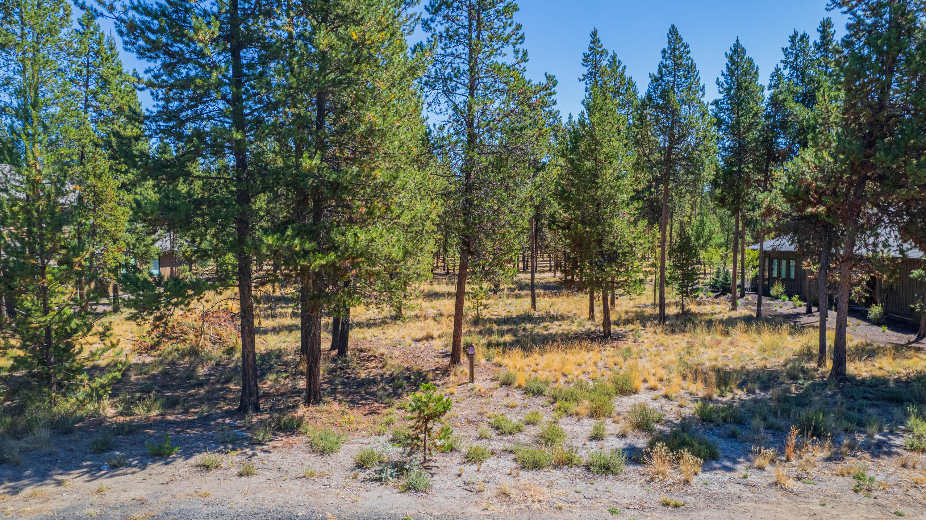 56480 SUNSTONE Loop Unit: 165