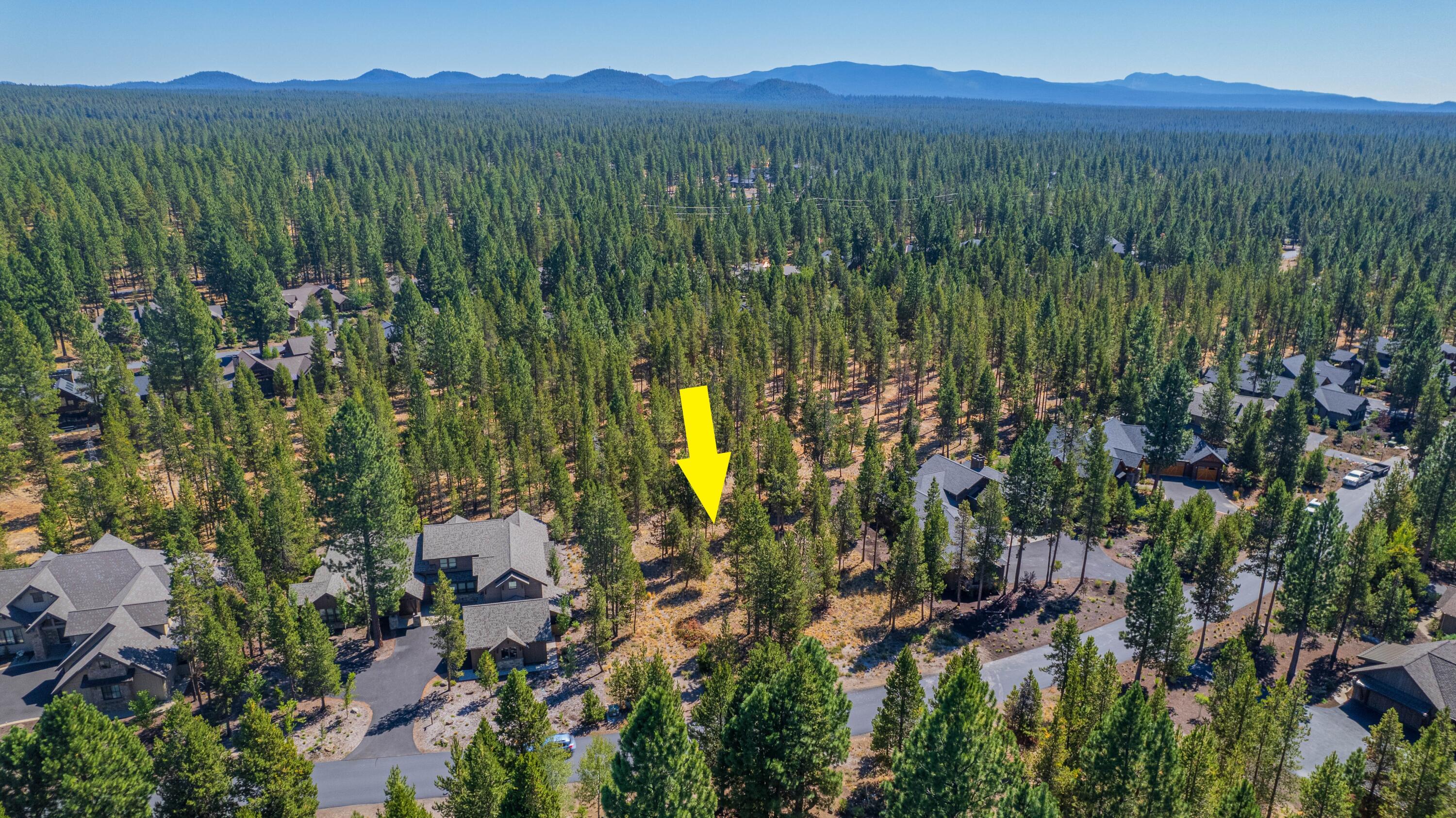 56480 SUNSTONE Loop Unit: 165