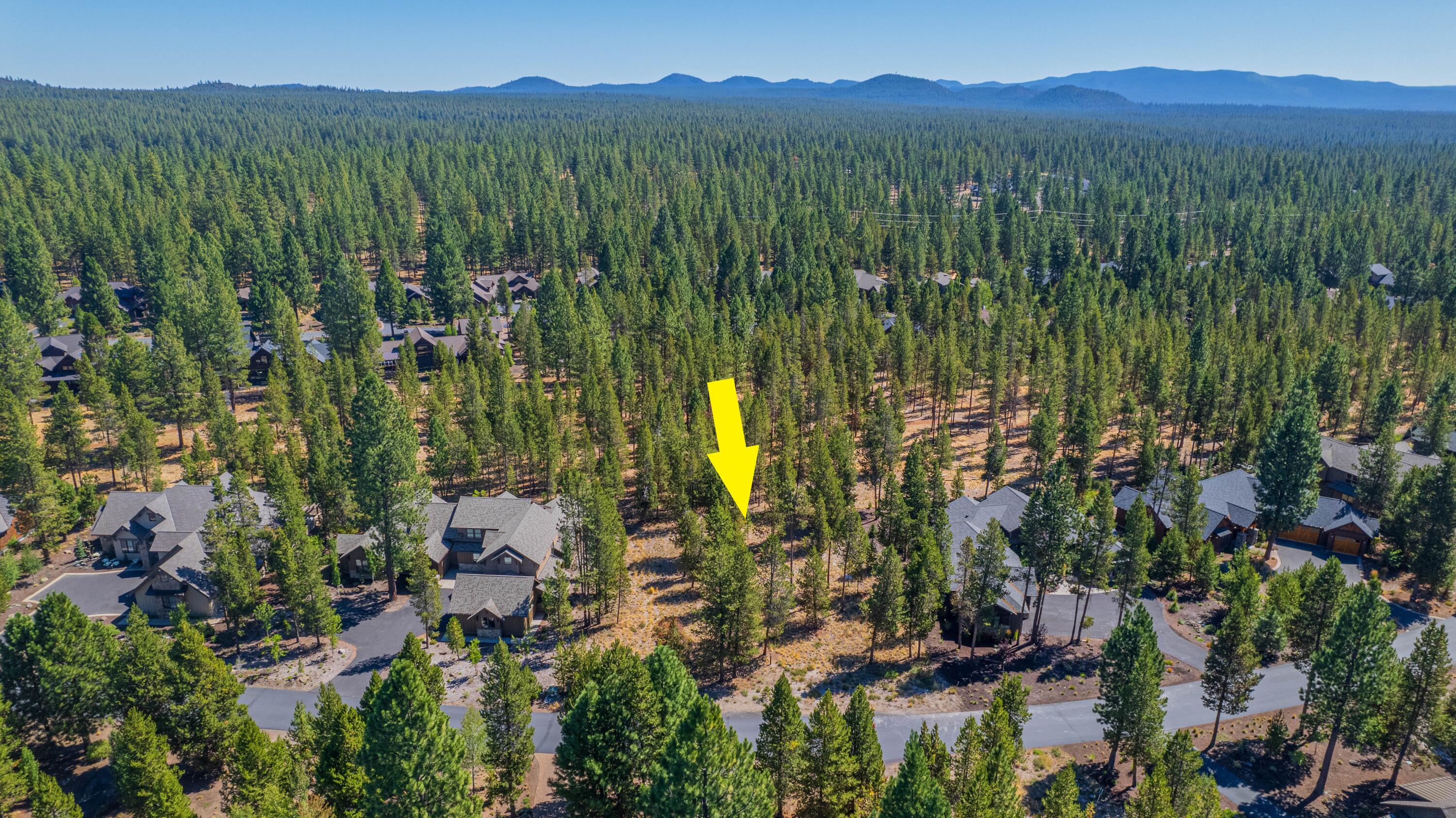 56480 SUNSTONE Loop Unit: 165