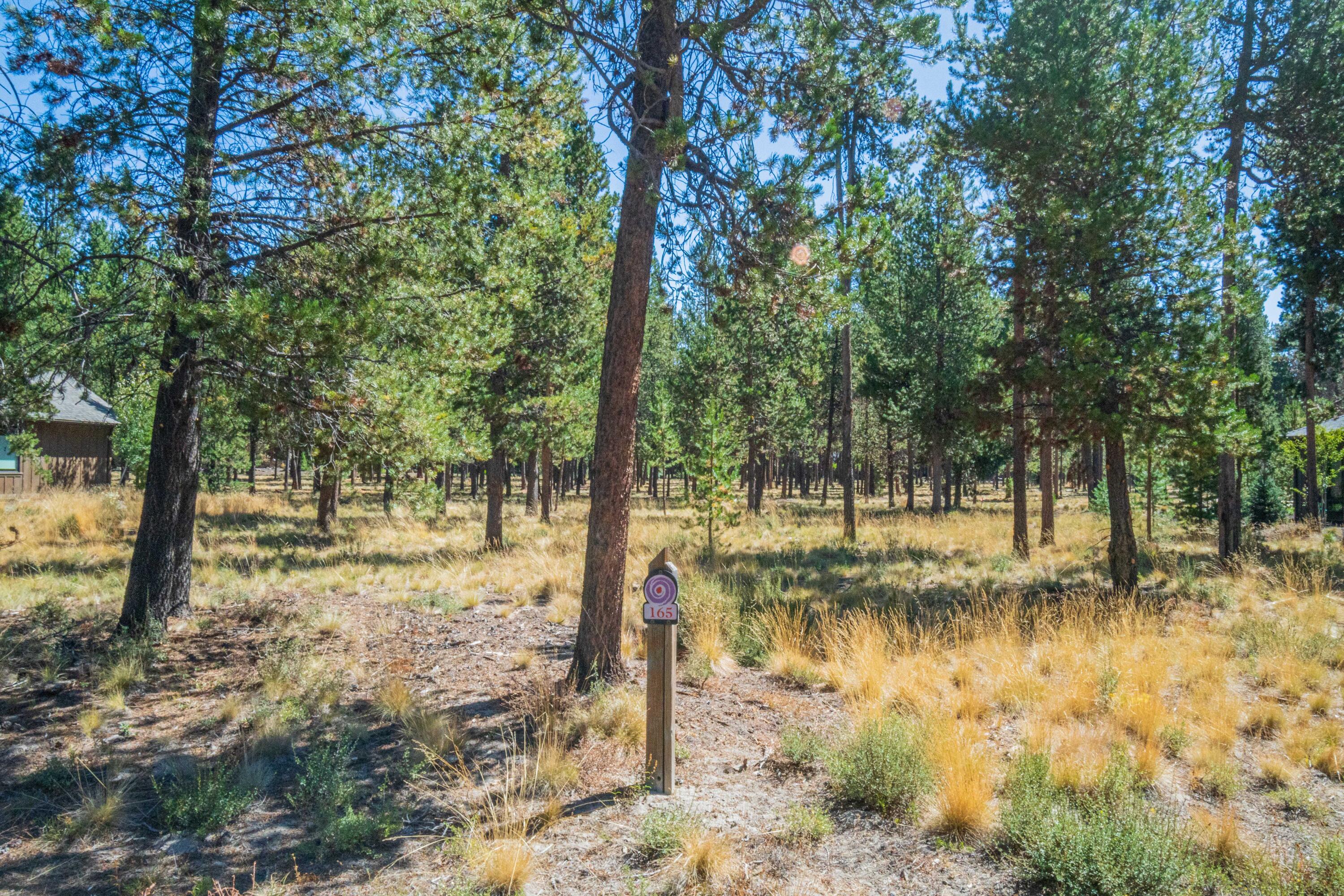 56480 SUNSTONE Loop Unit: 165