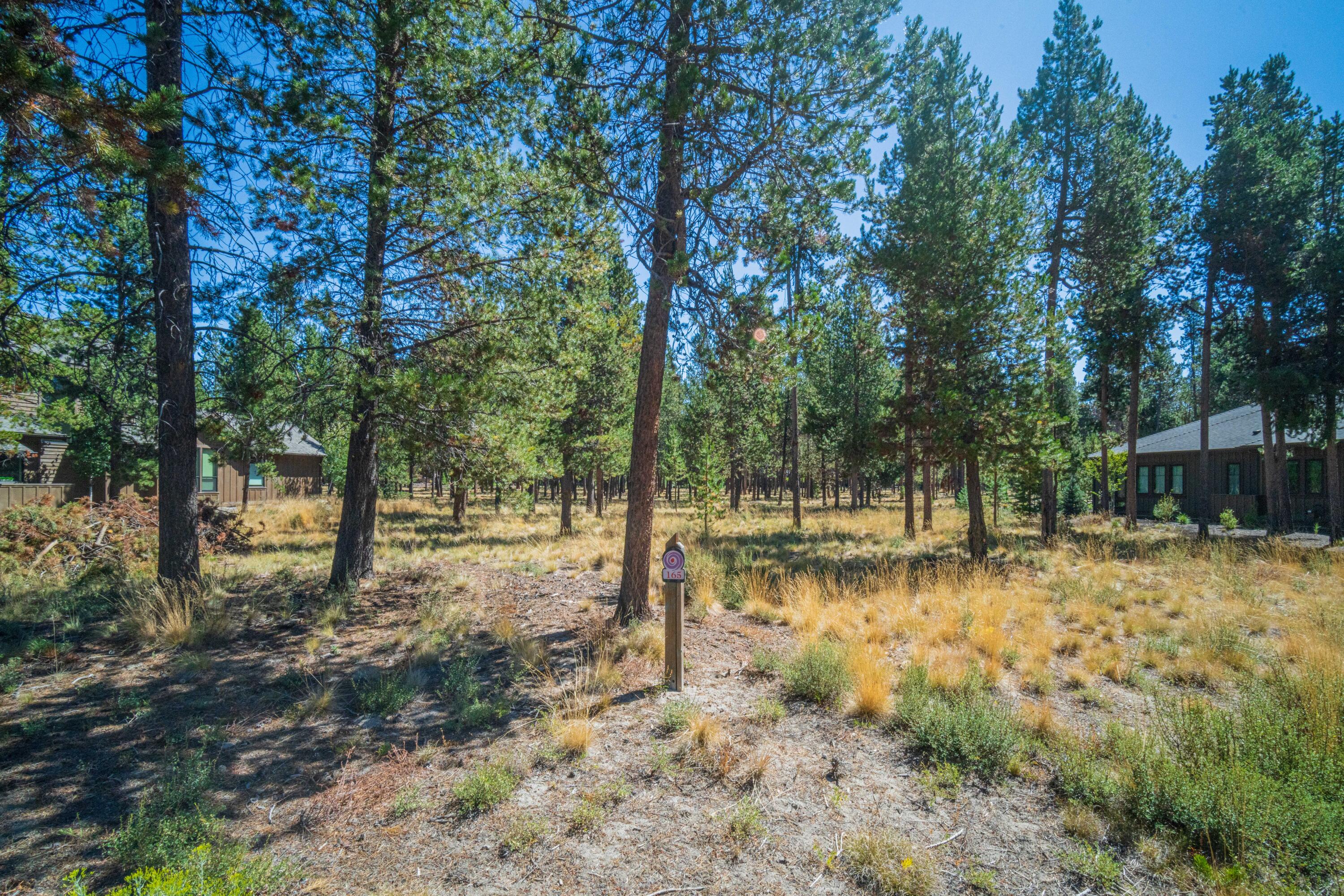 56480 SUNSTONE Loop Unit: 165