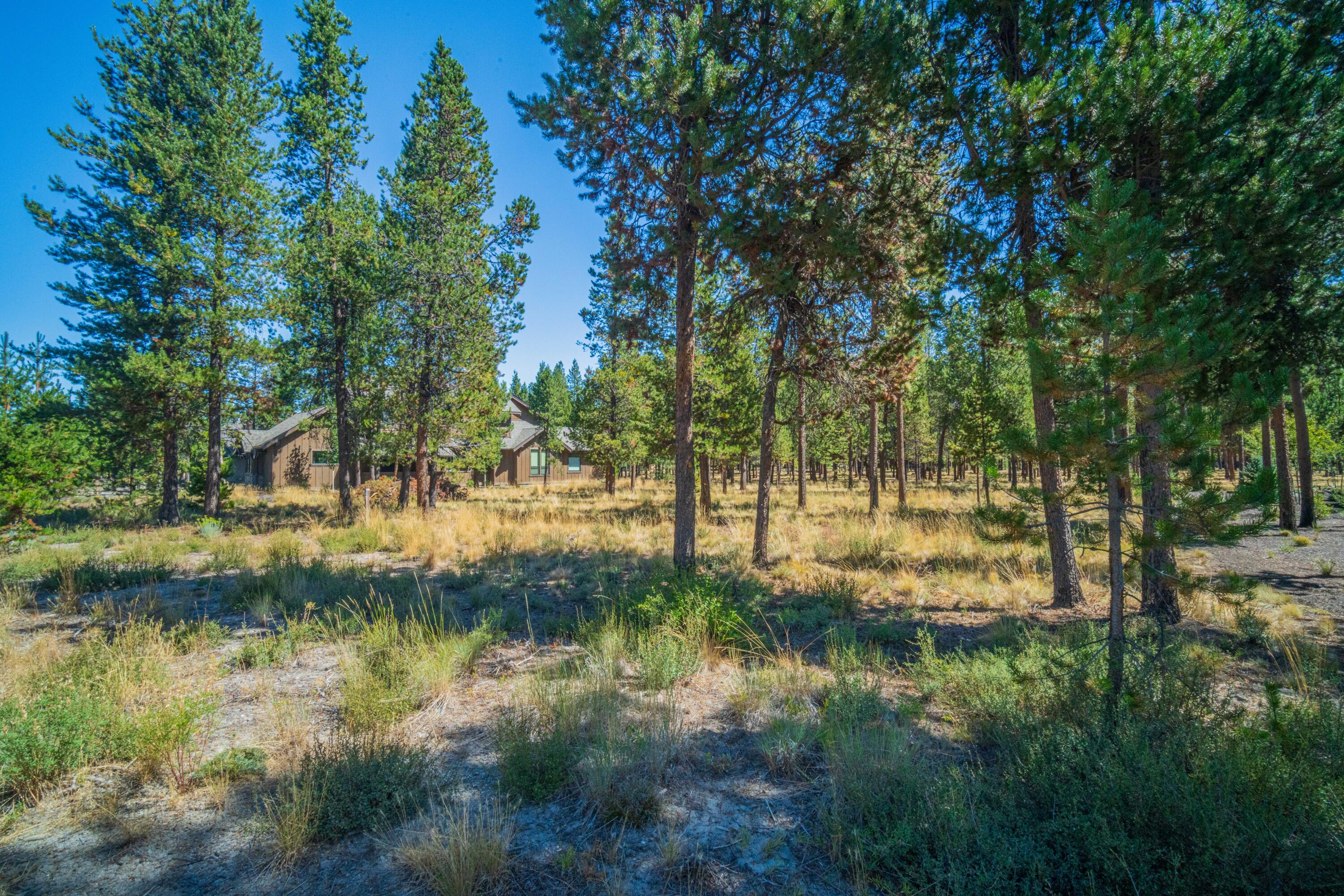 56480 SUNSTONE Loop Unit: 165